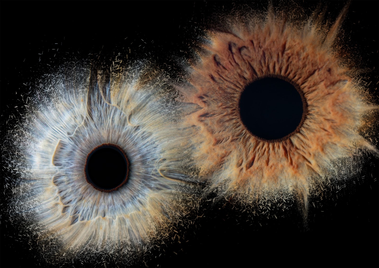 I Origins Studio