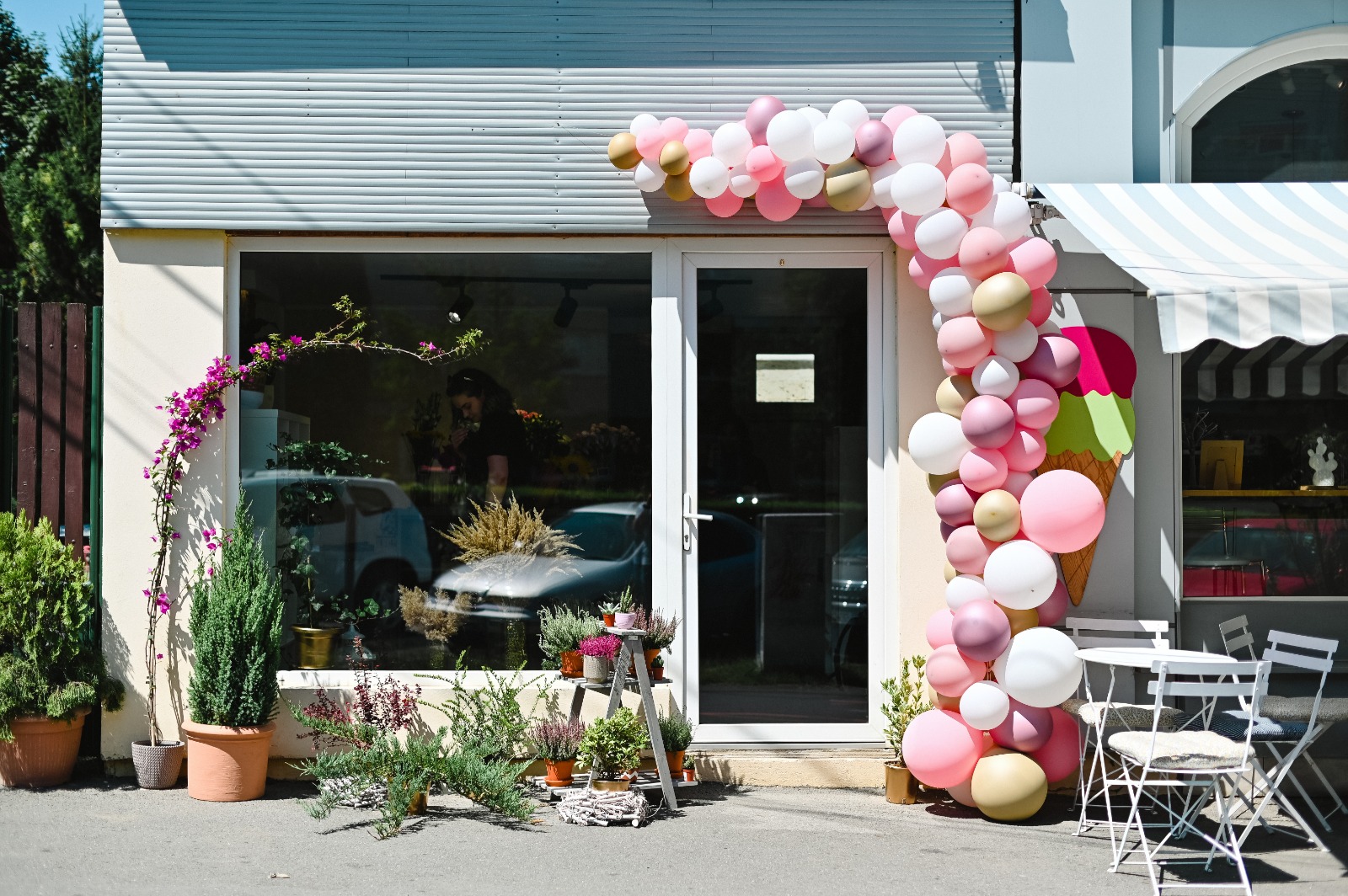 Frangipani Event & Floral Design - Florarie Sibiu
