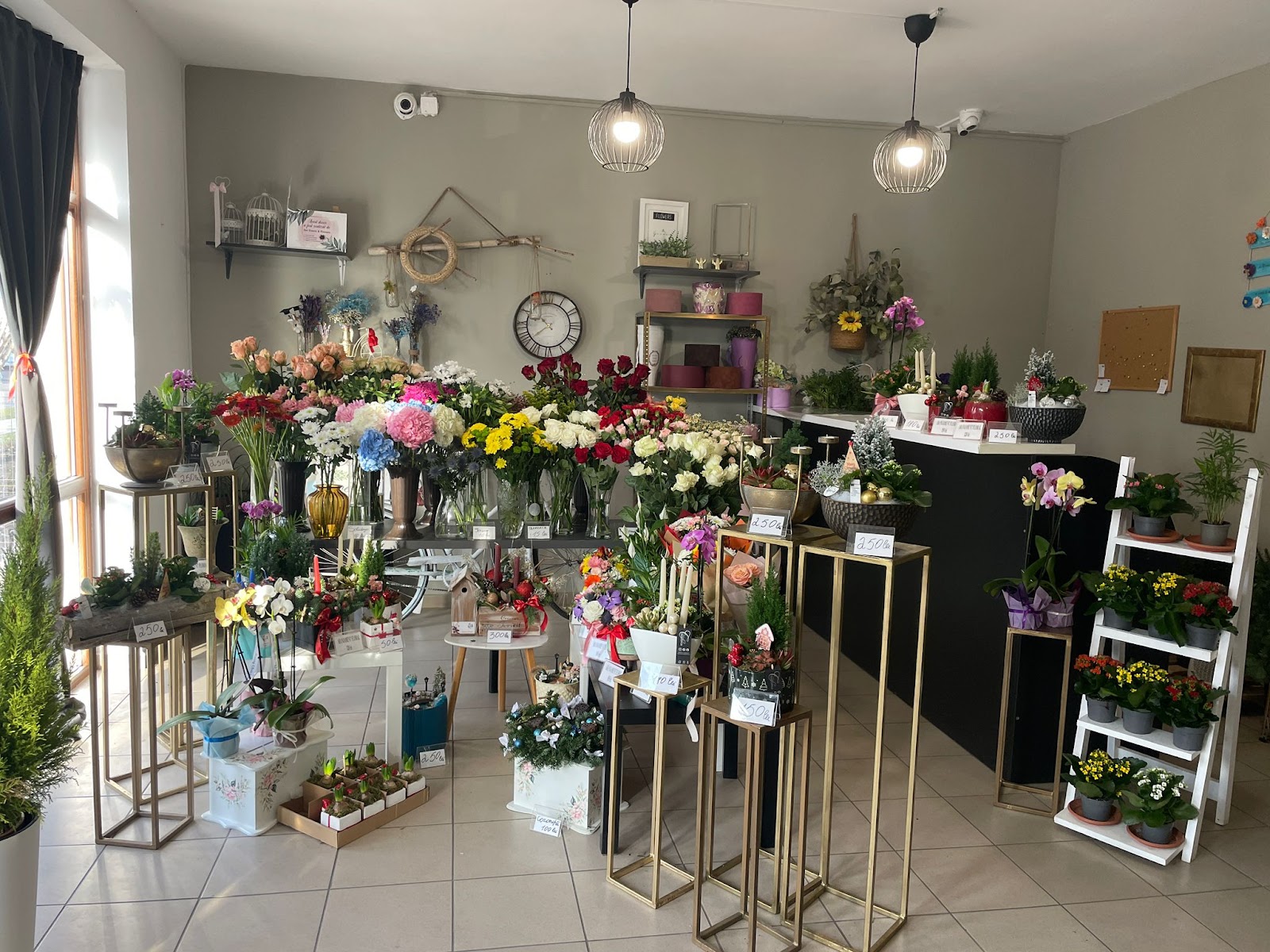 DeiFlowers & Events - Florarie Sibiu