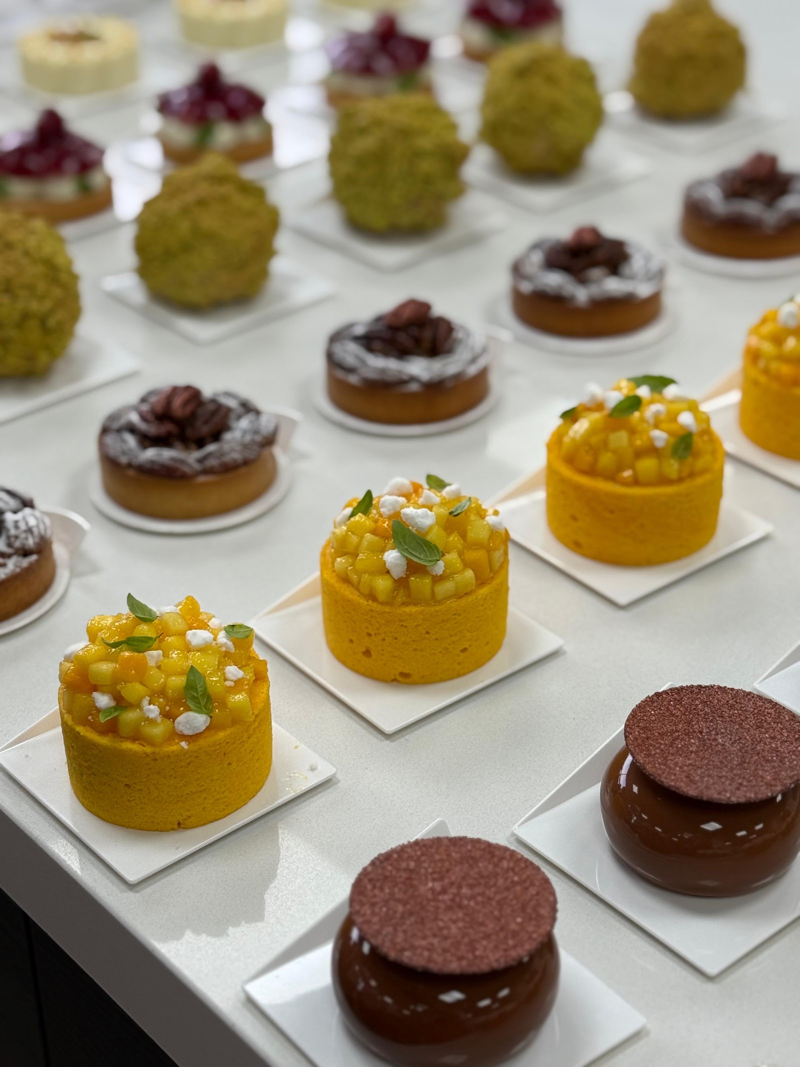 Arts & Tarts