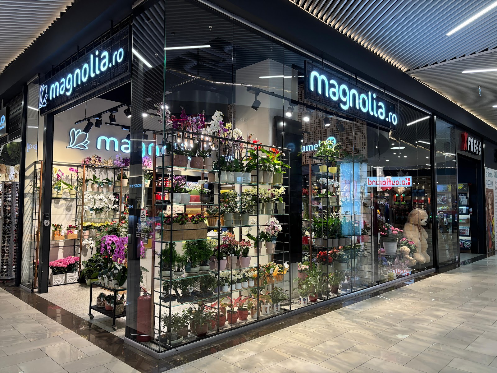 Florăria Magnolia Sibiu