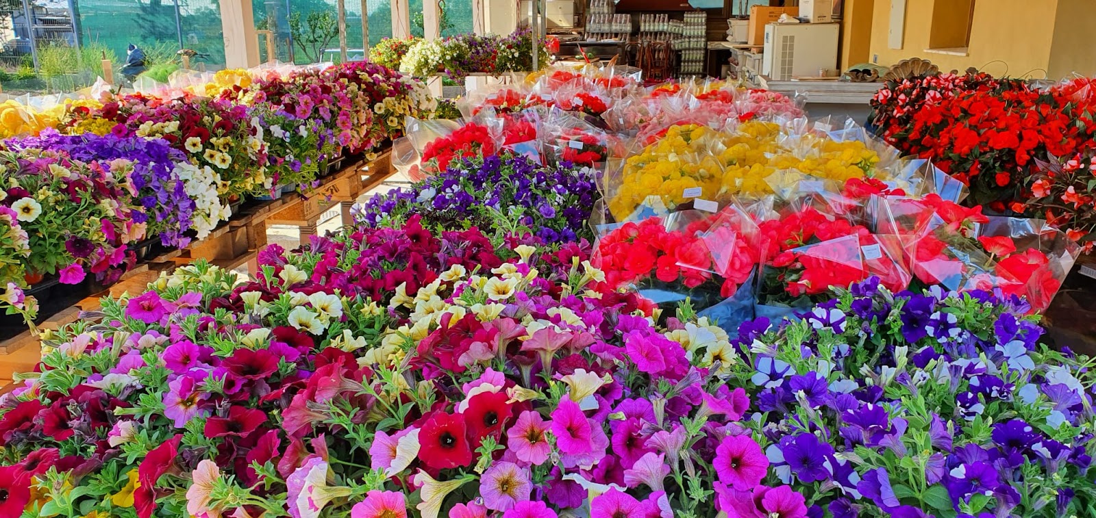 Florăria La Riccionese