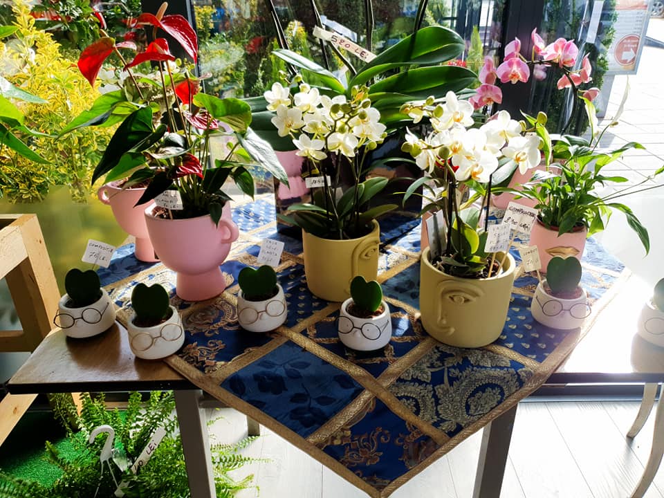 Florăria La Riccionese
