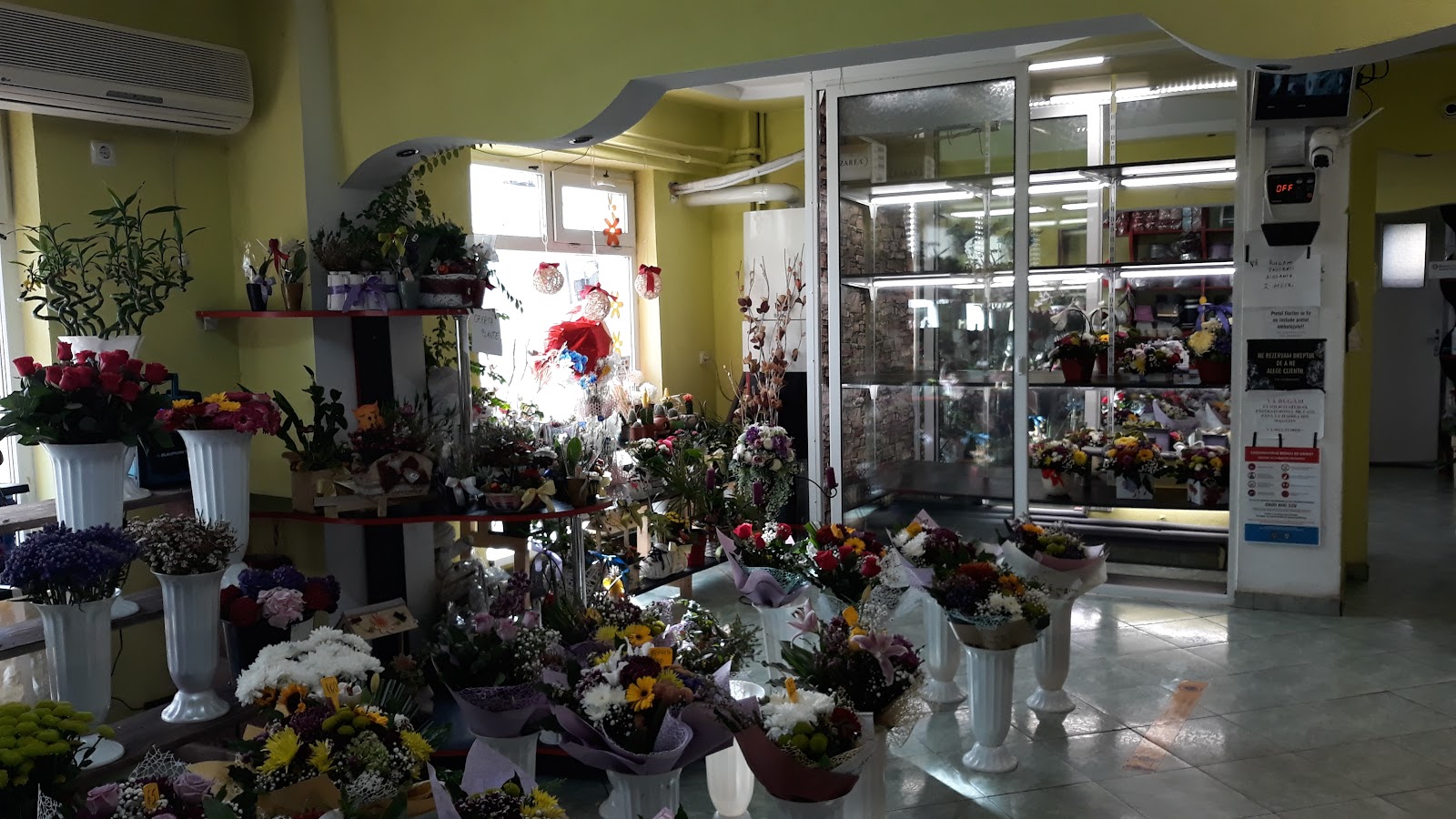 Florăria Alina