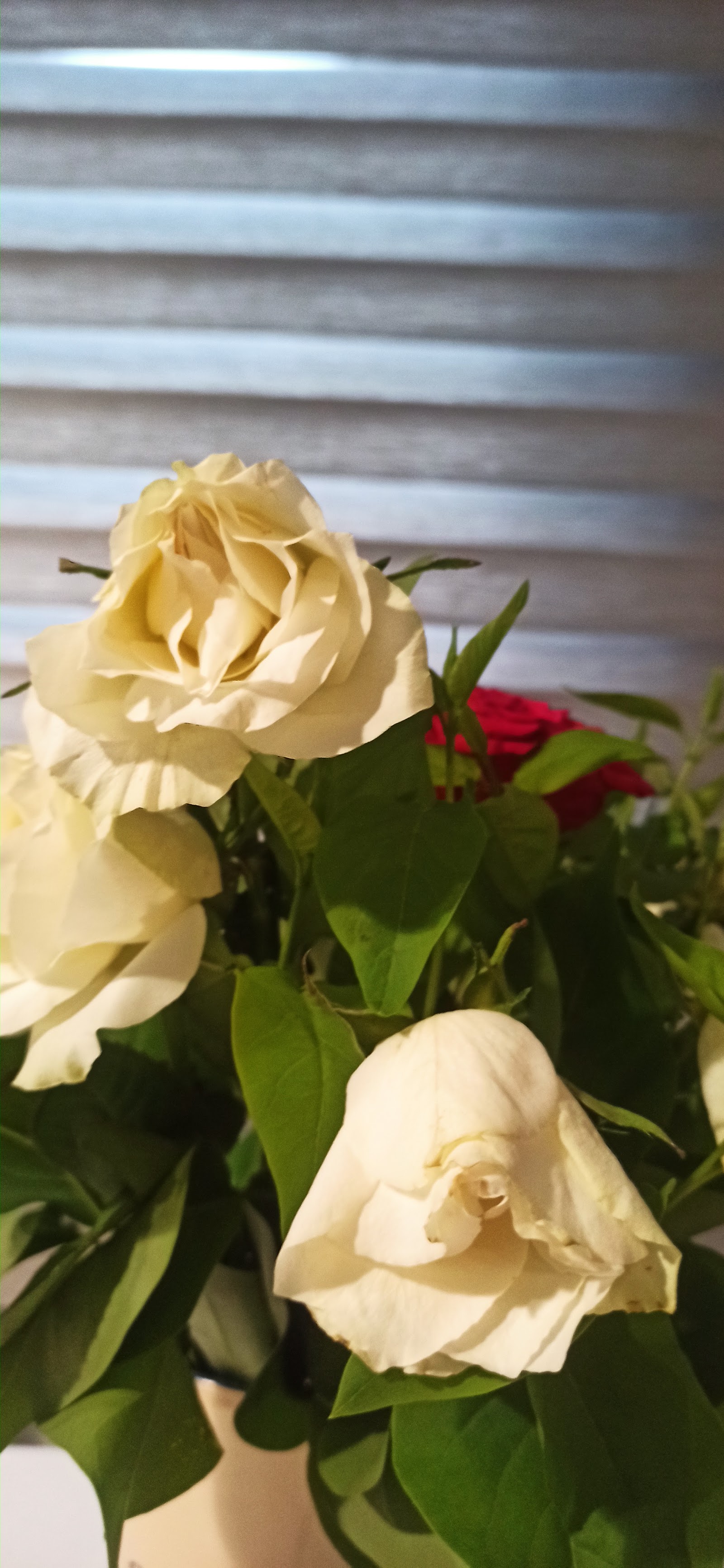Florărie