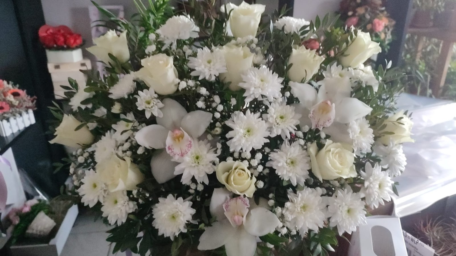 Floraria Maria