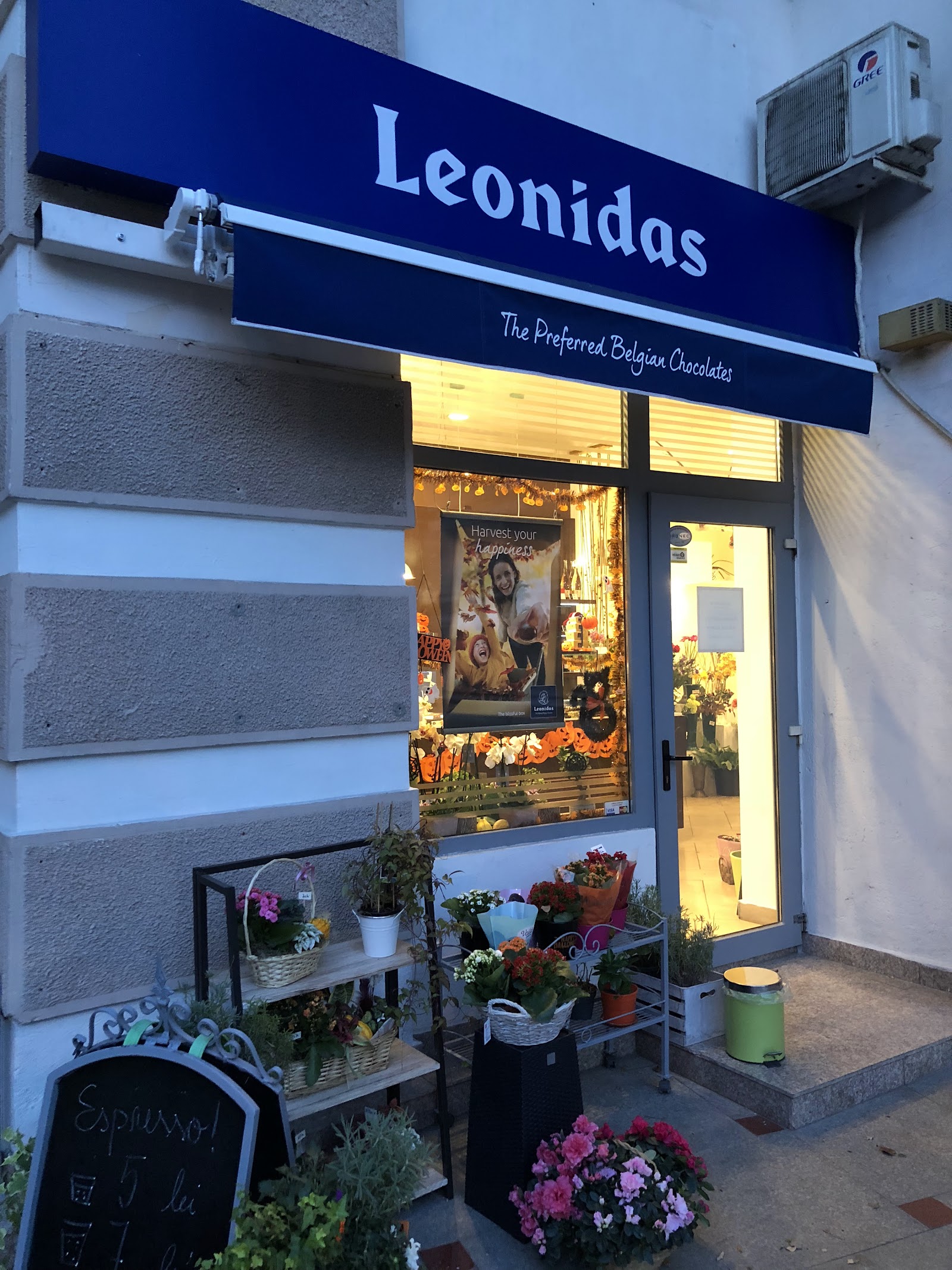 Leonidas Piata Alba Iulia