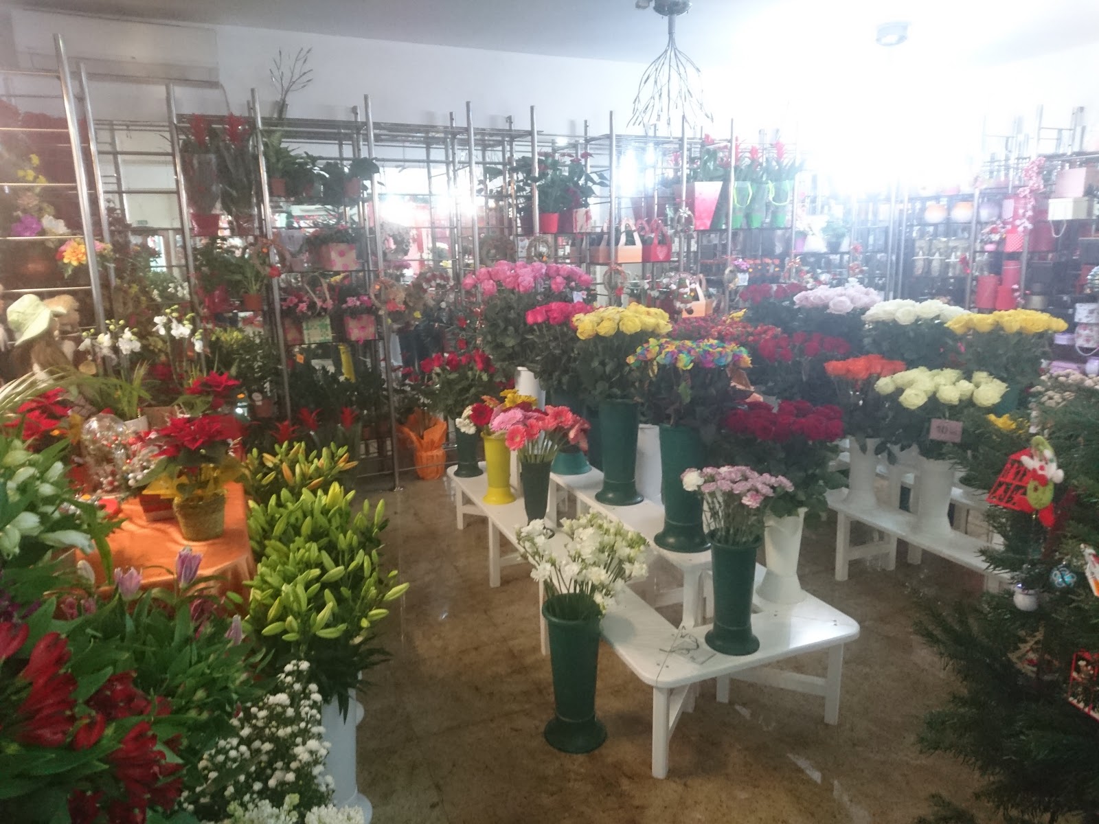 Florăria Iza