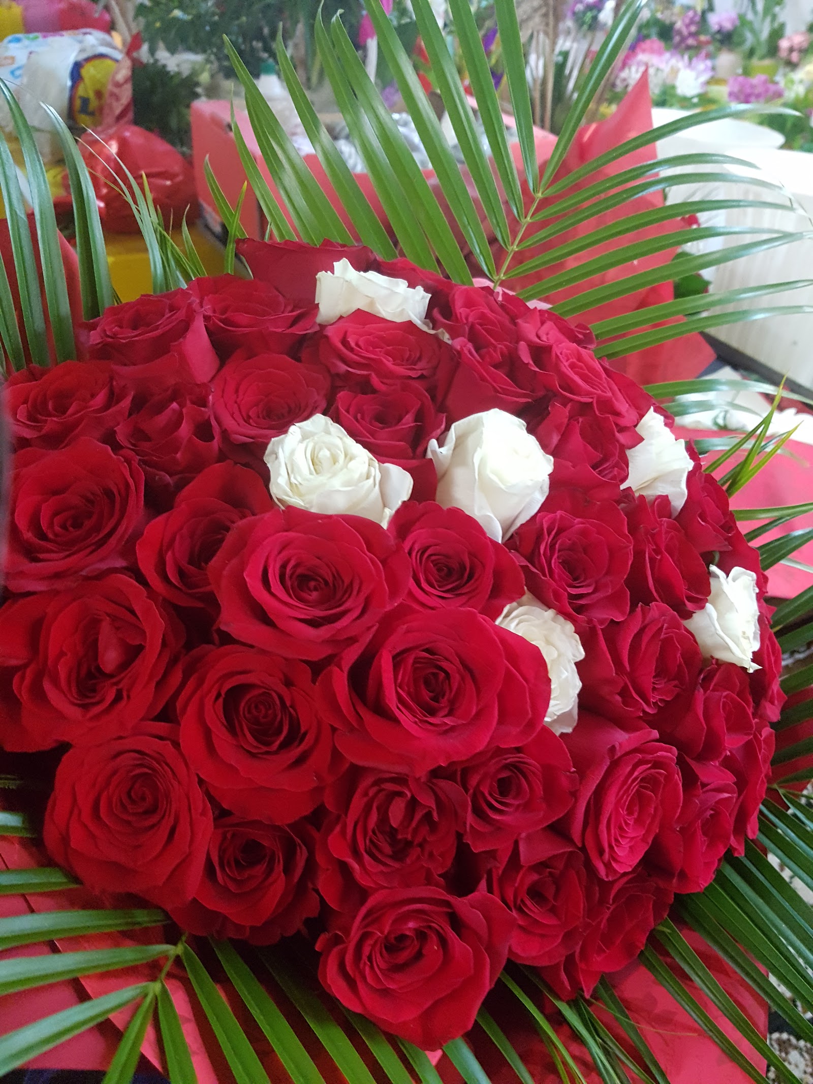 Floraria Vera