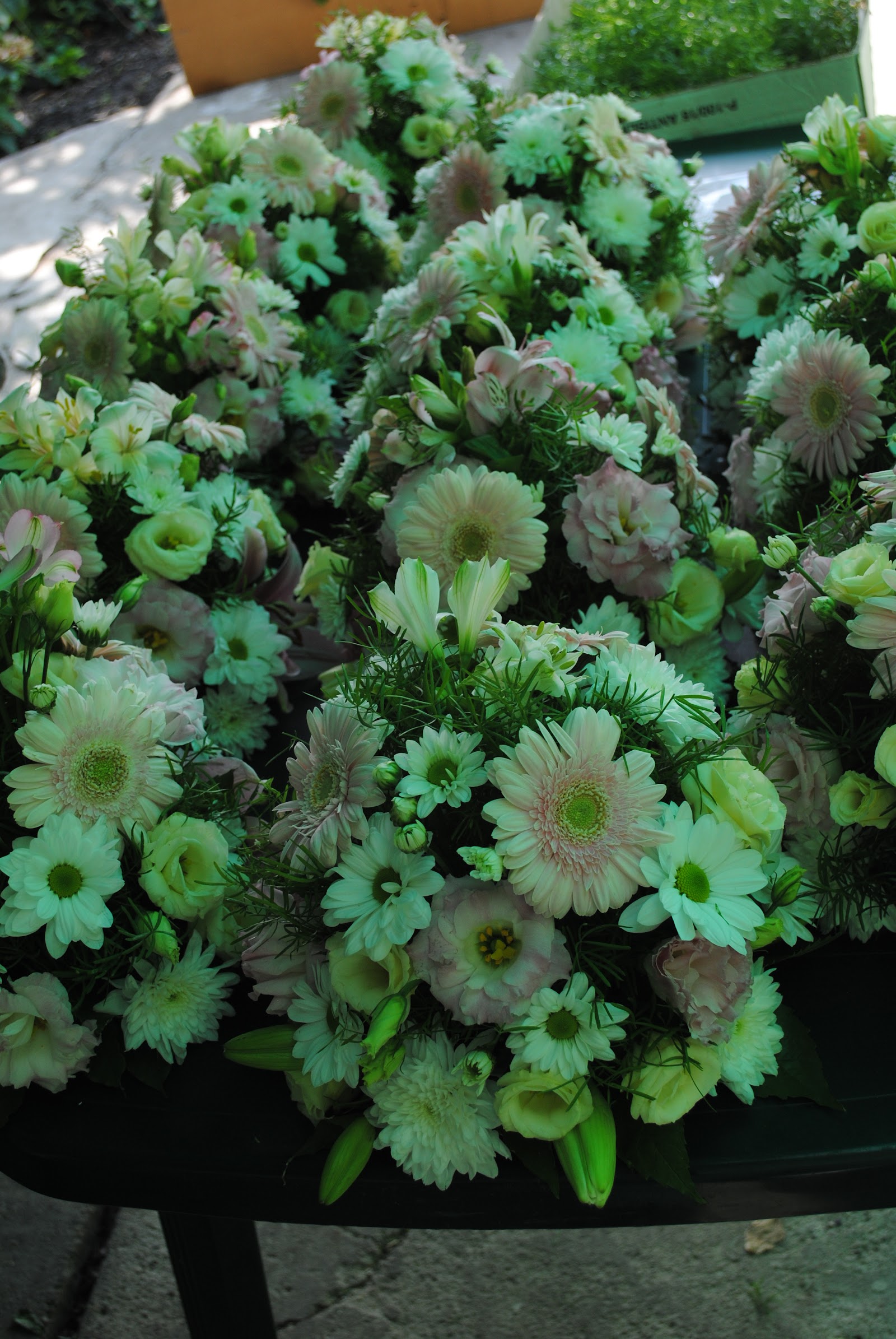 Flowers by Valeriu