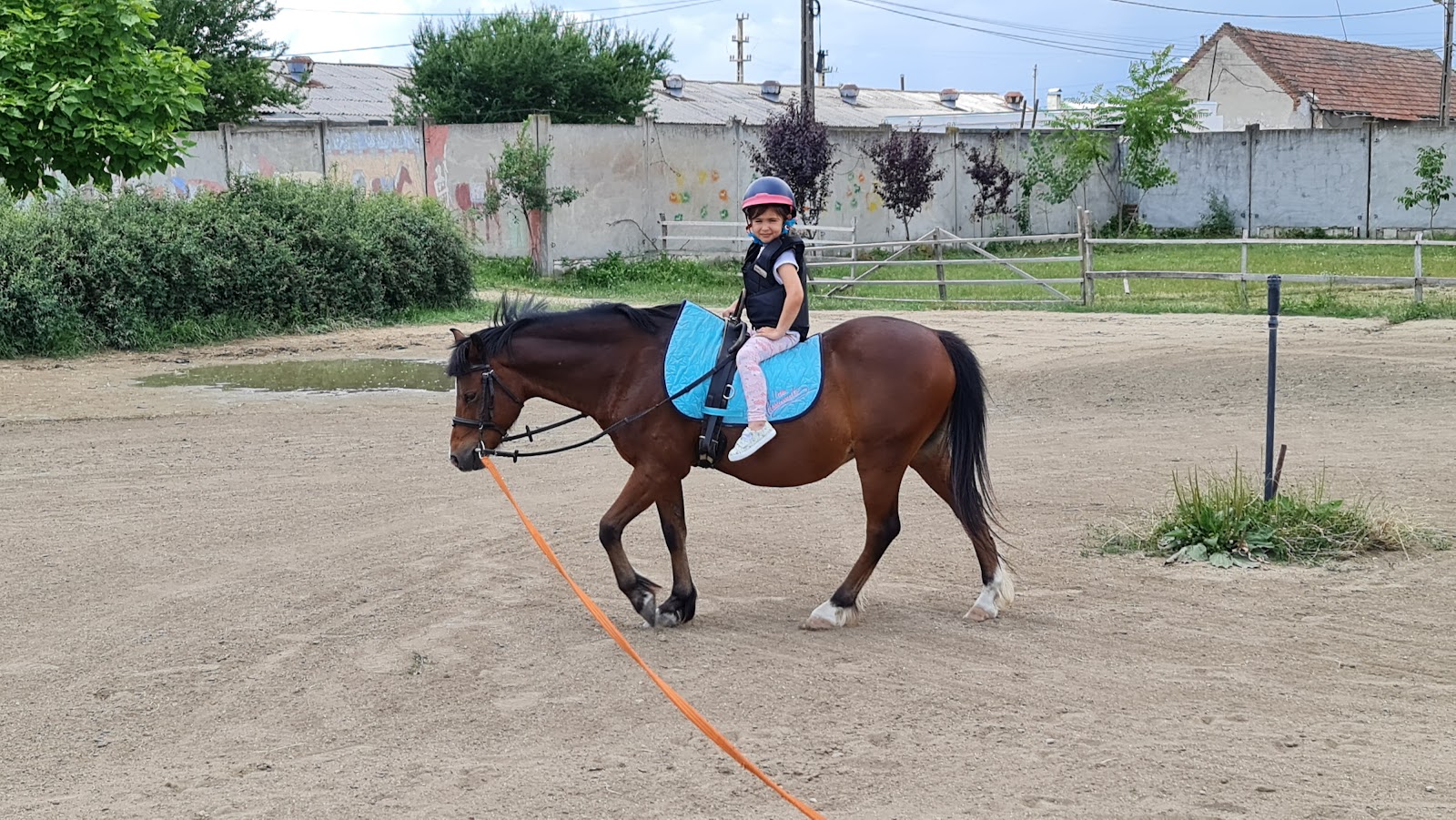 PONY CLUB ARAD