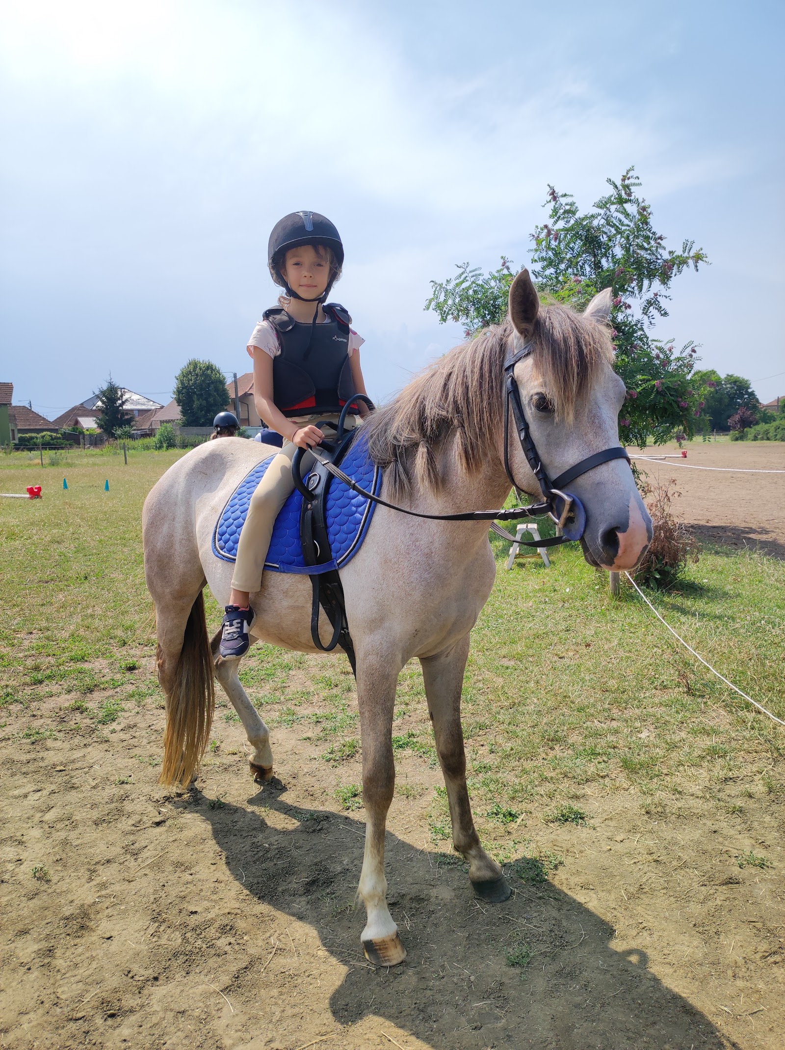 PONY CLUB ARAD
