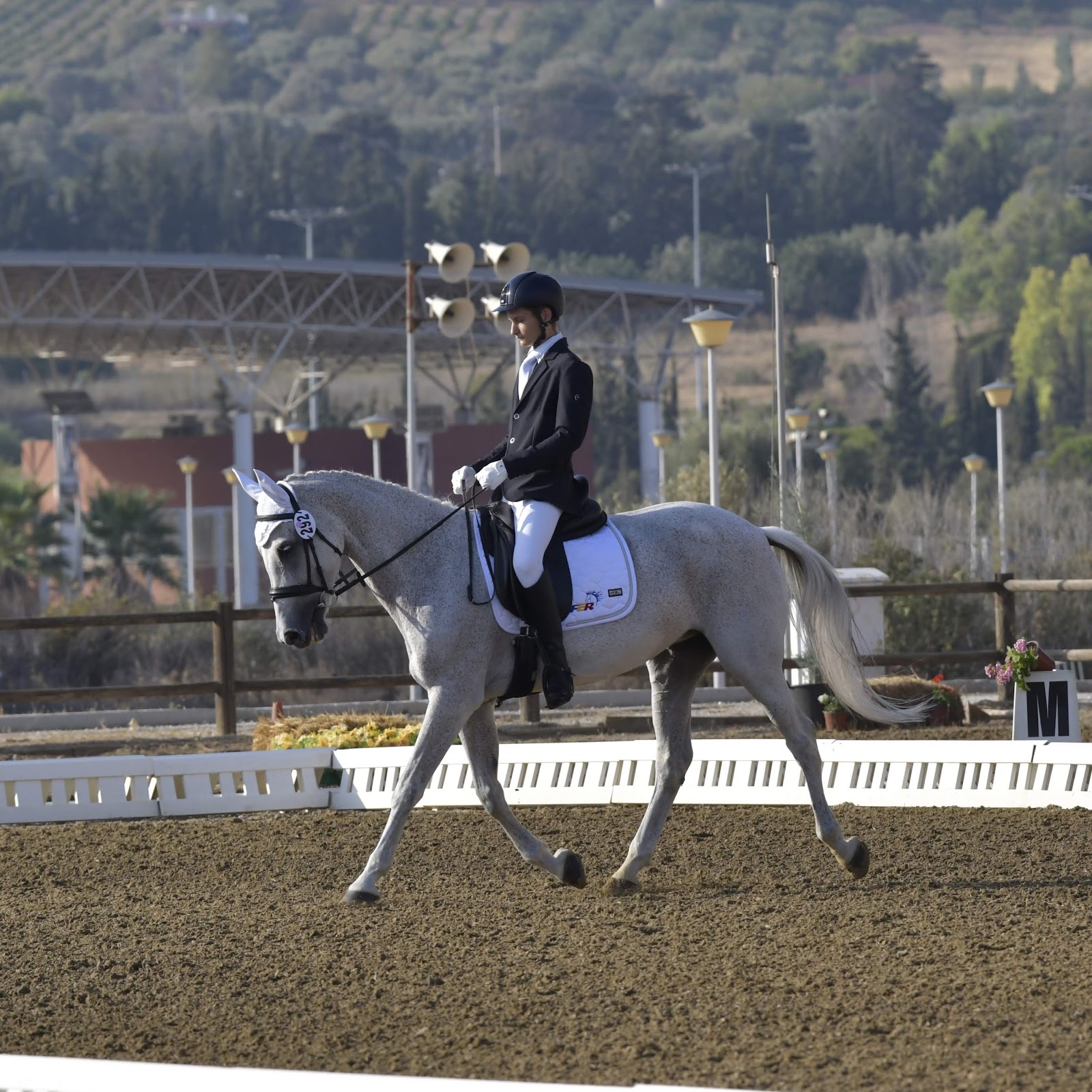 PONY CLUB ARAD