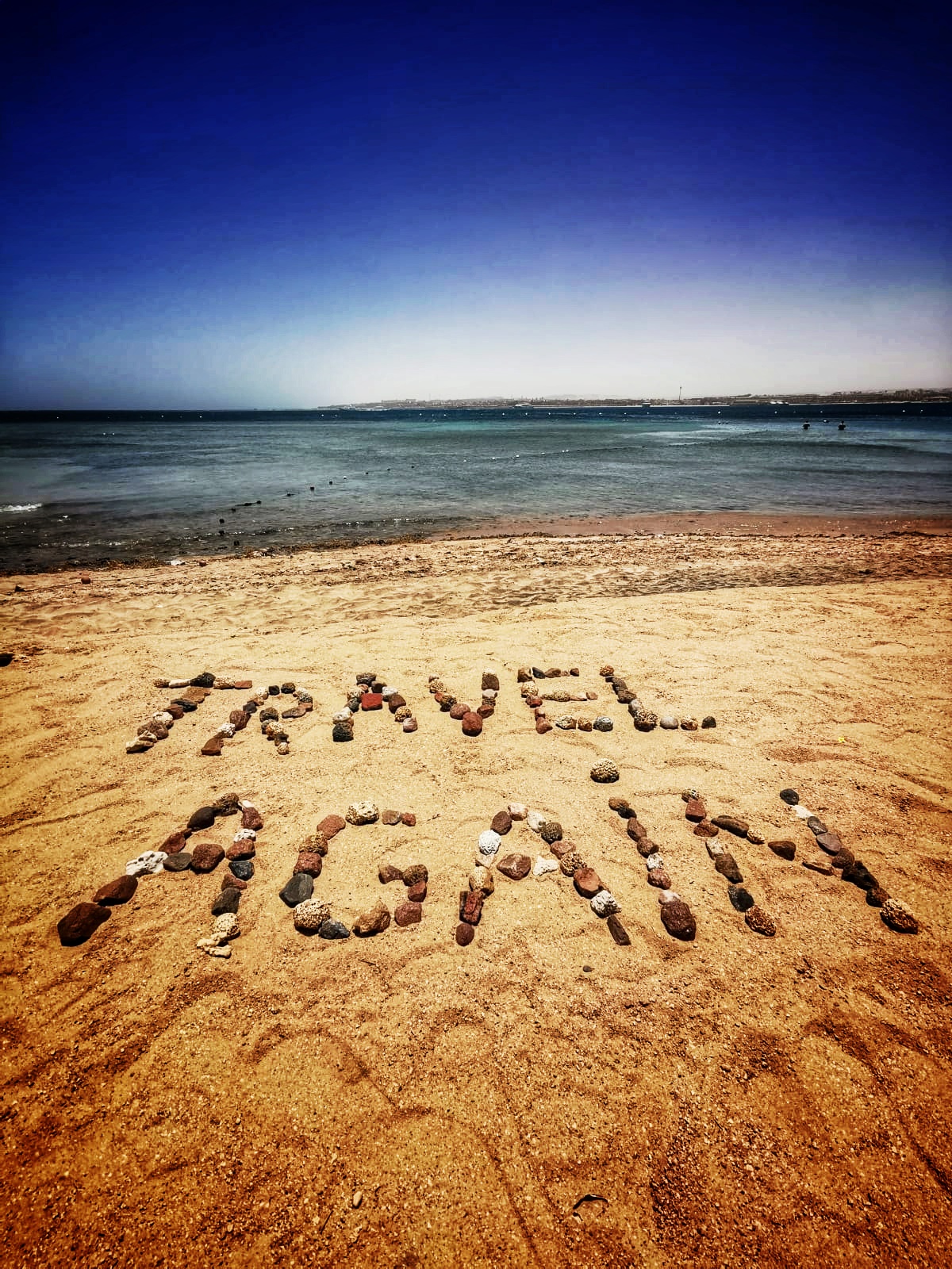 Travel Again