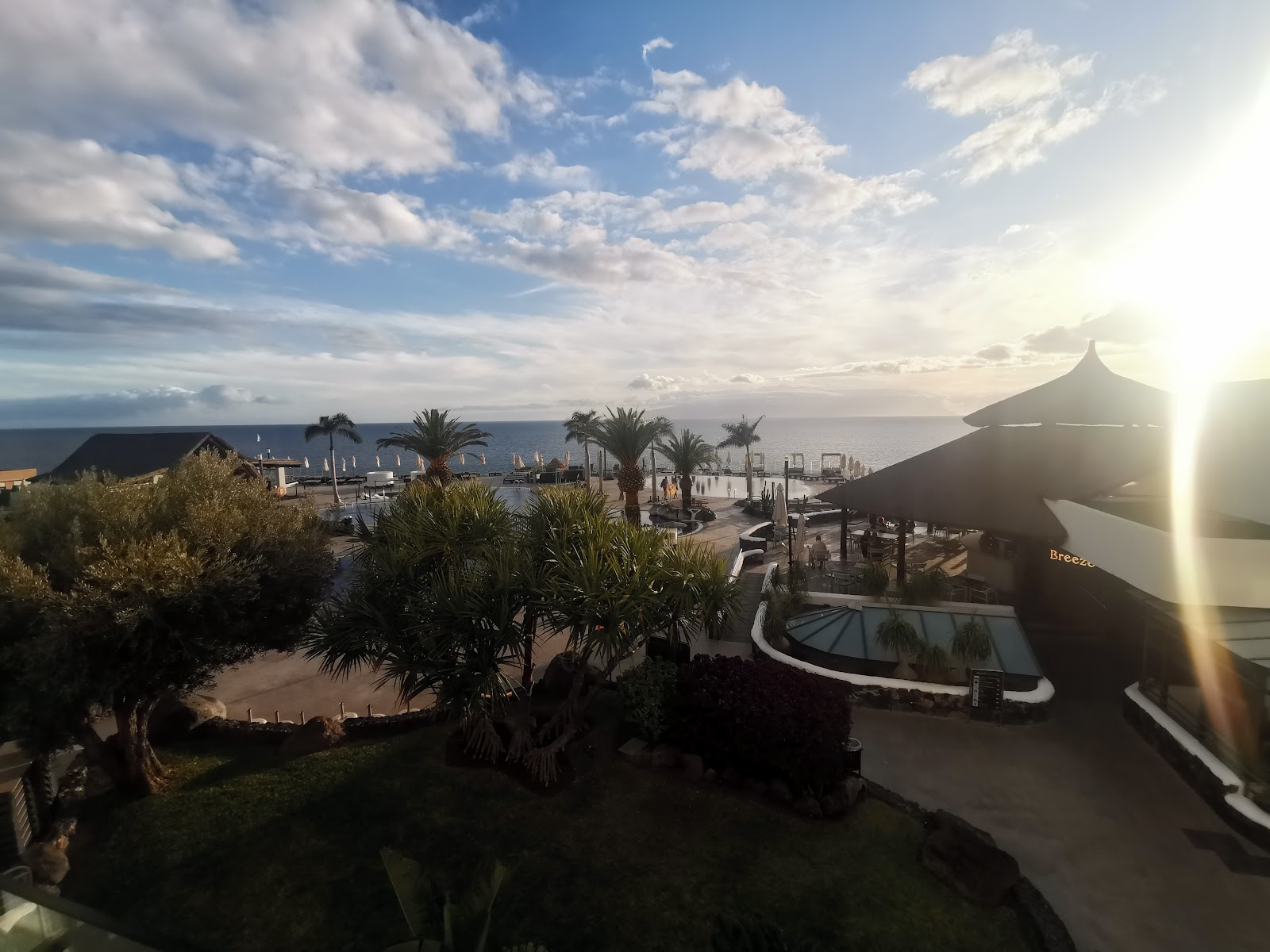 Palms Travel