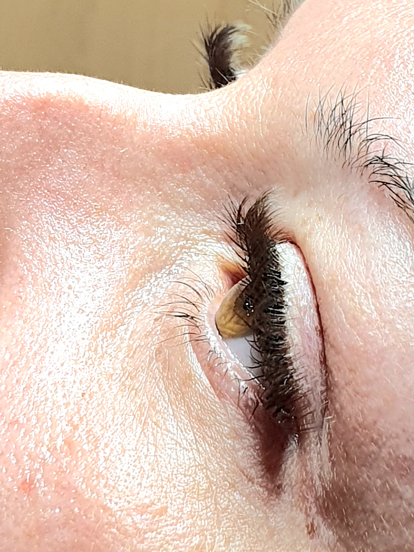 Igaș Flavia Lash Studio