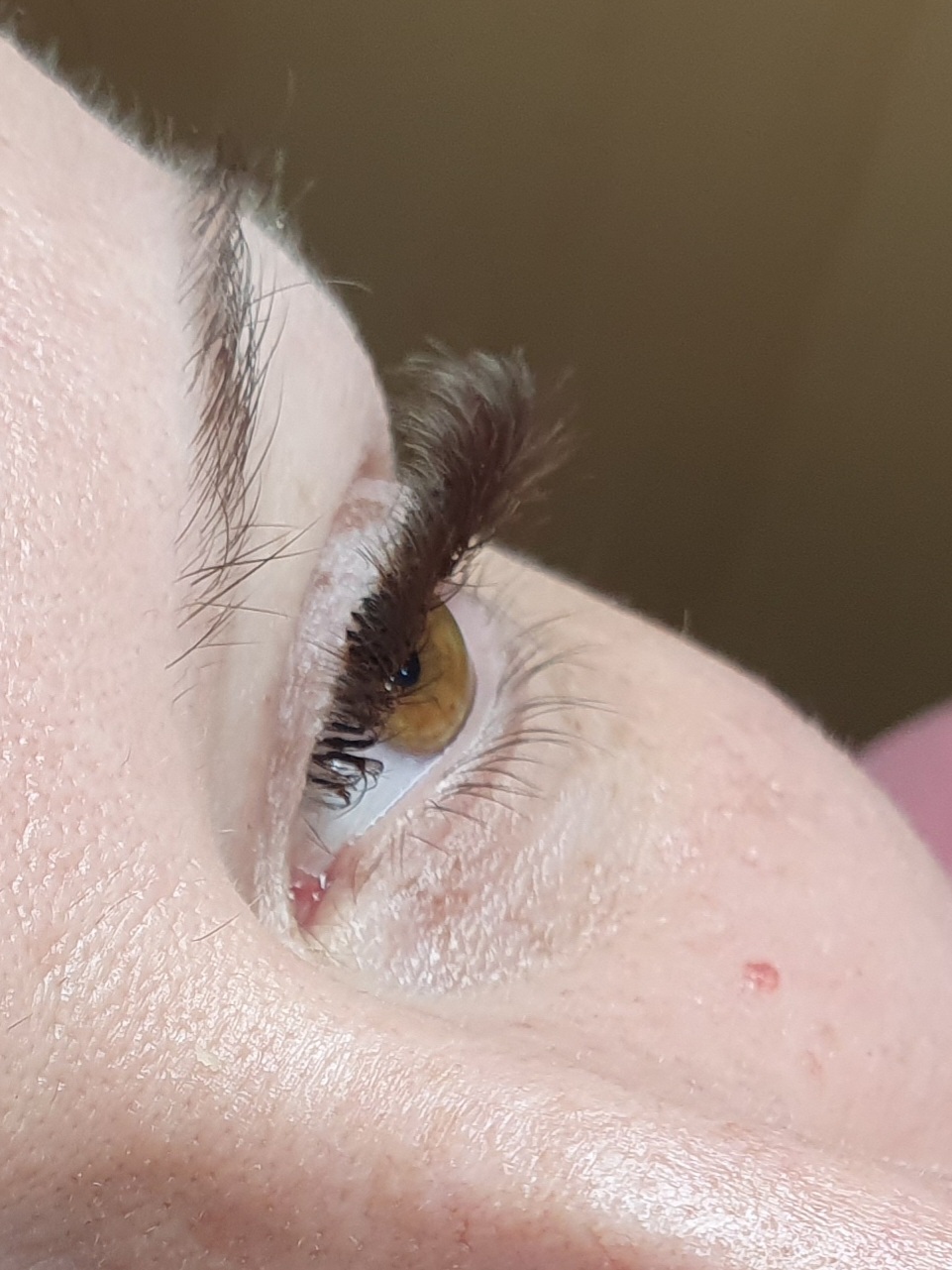 Igaș Flavia Lash Studio