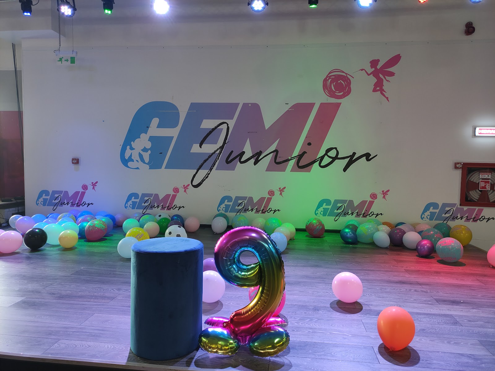 Gemi Junior