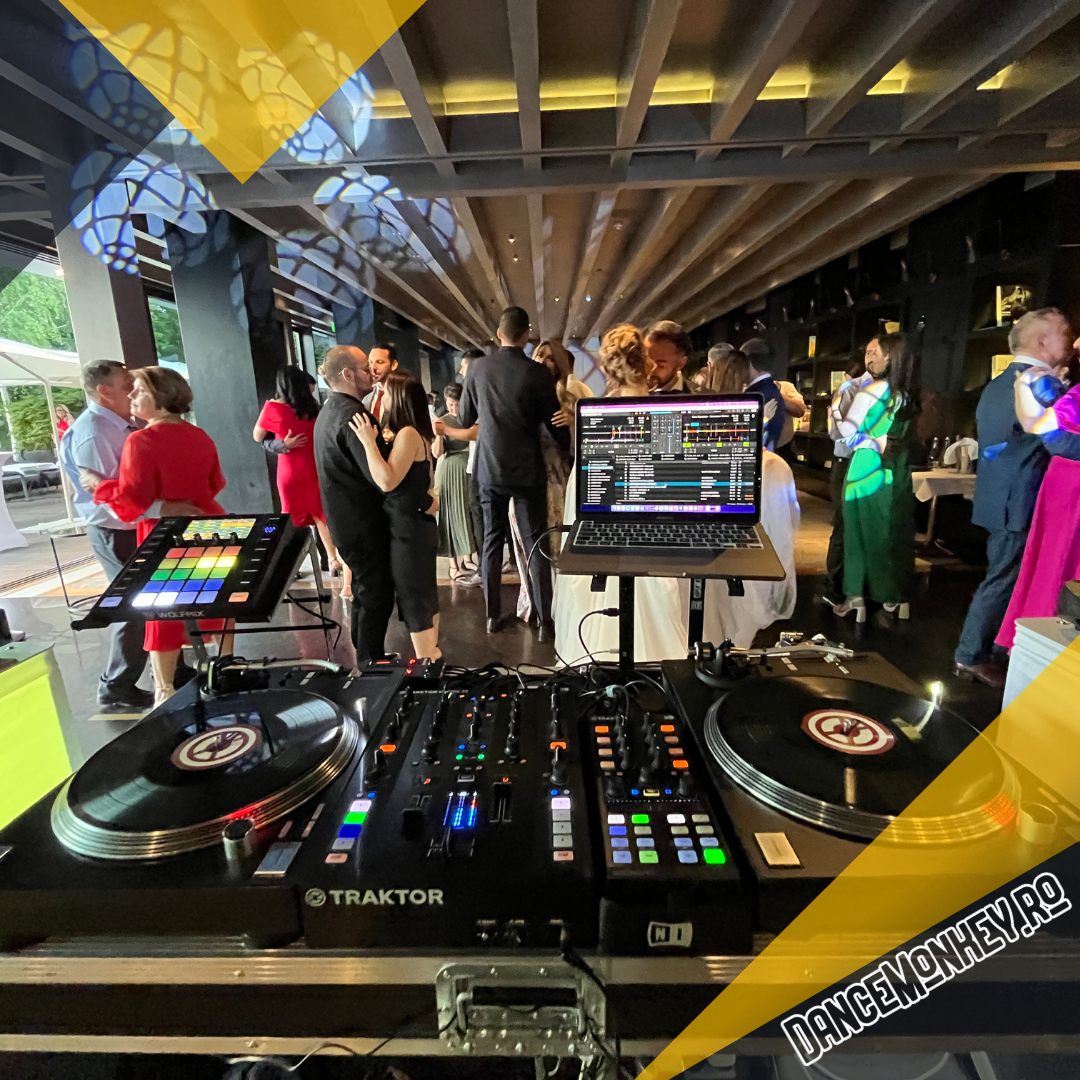 DJ Nunta Bucuresti - DanceMonkey.ro