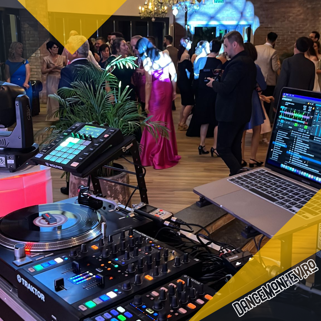 DJ Nunta Bucuresti - DanceMonkey.ro
