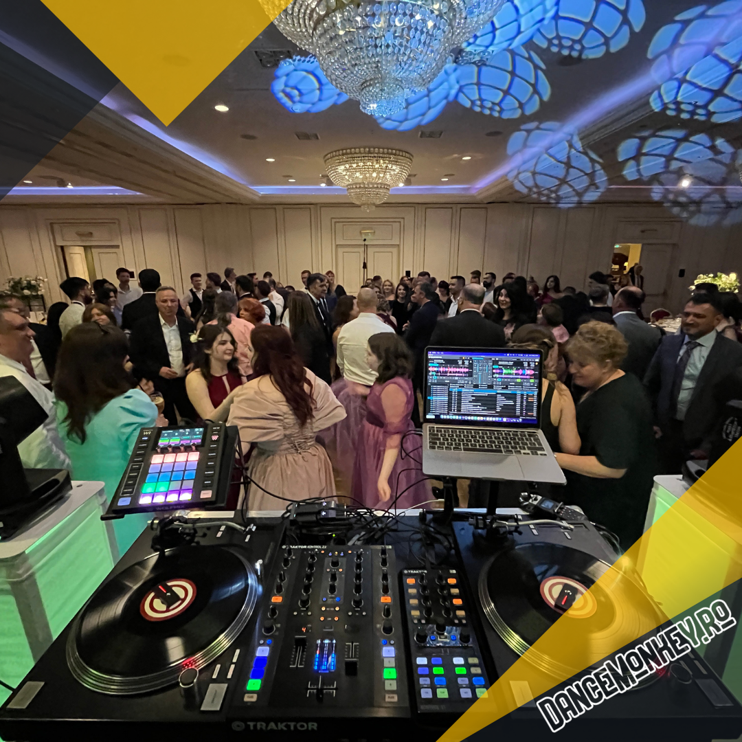 DJ Nunta Bucuresti - DanceMonkey.ro