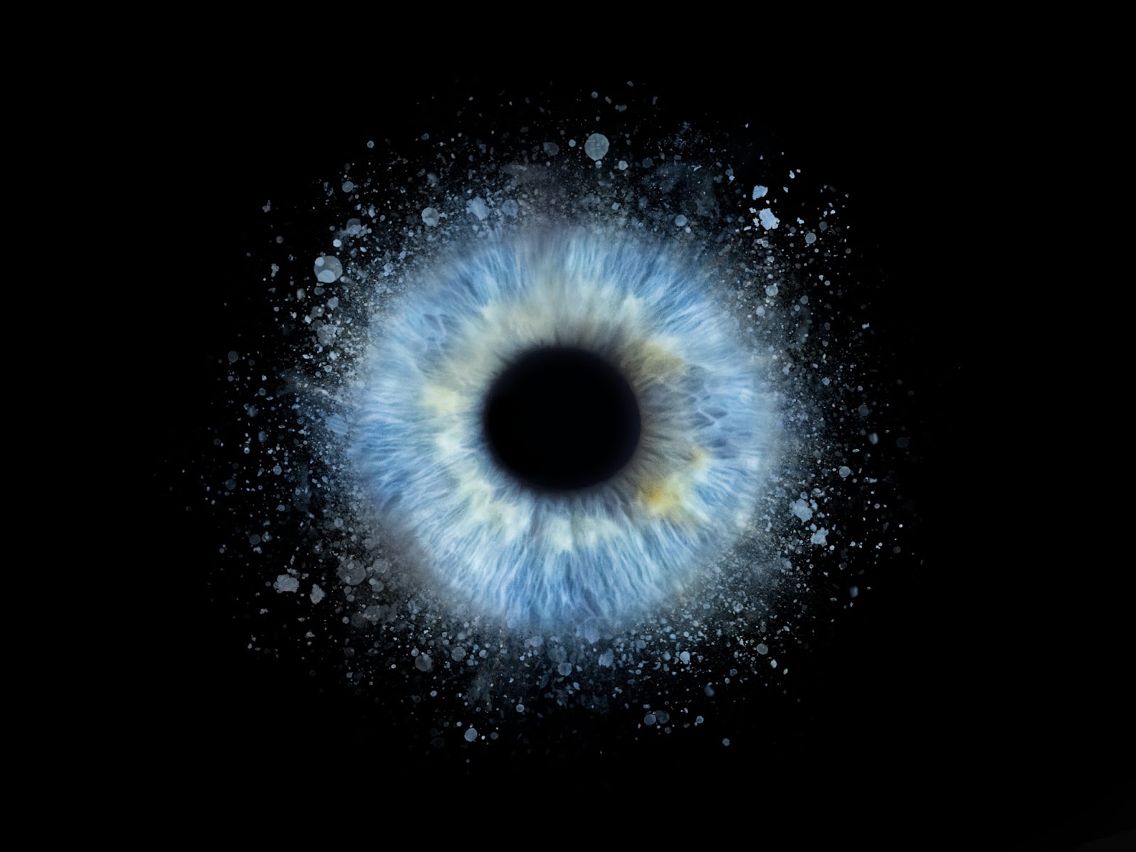 CLD Visuals