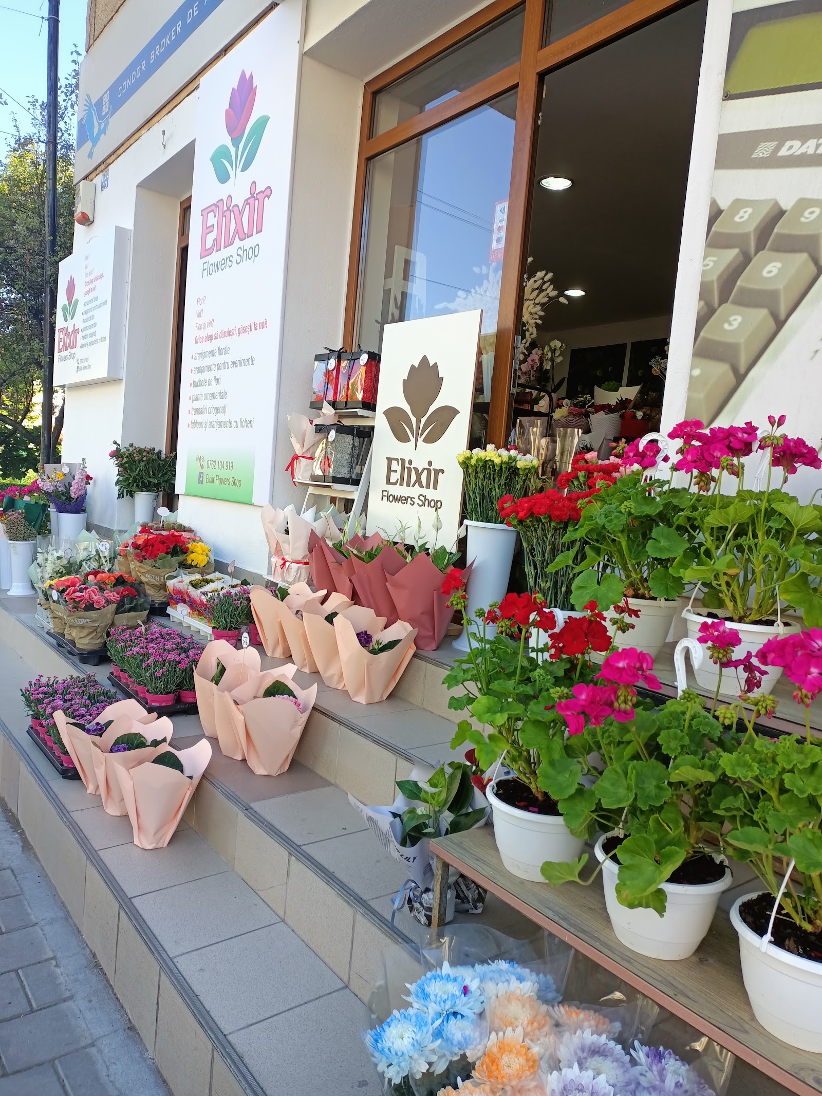 Elixir Flowers shop srl
