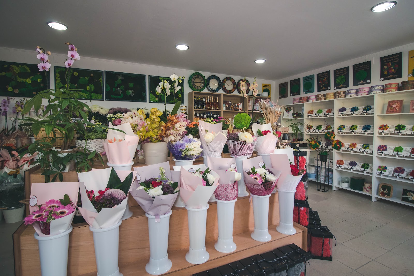 Elixir Flowers shop srl