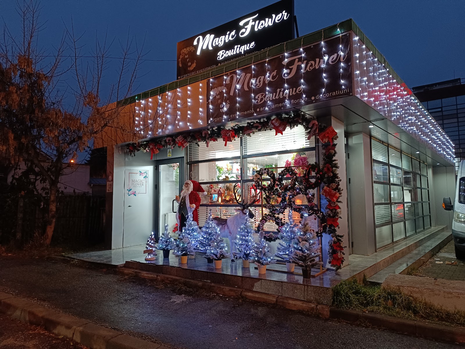 Magic flower Boutique
