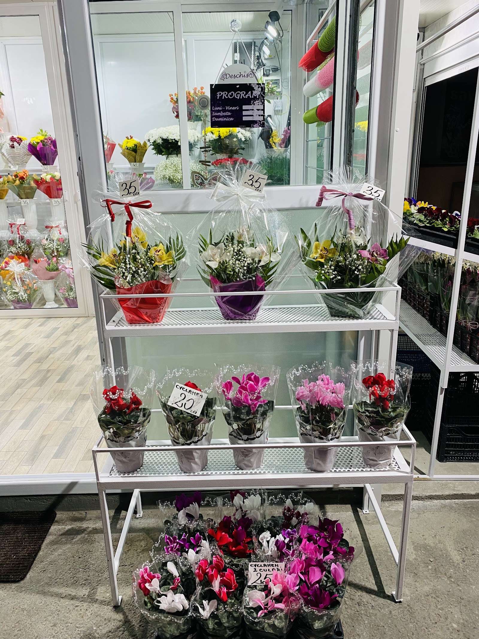 Floraria Daliana Pitesti