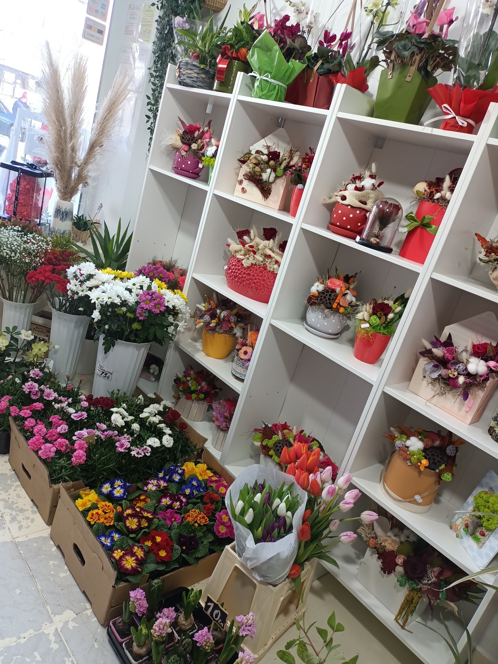 Eva Flowers