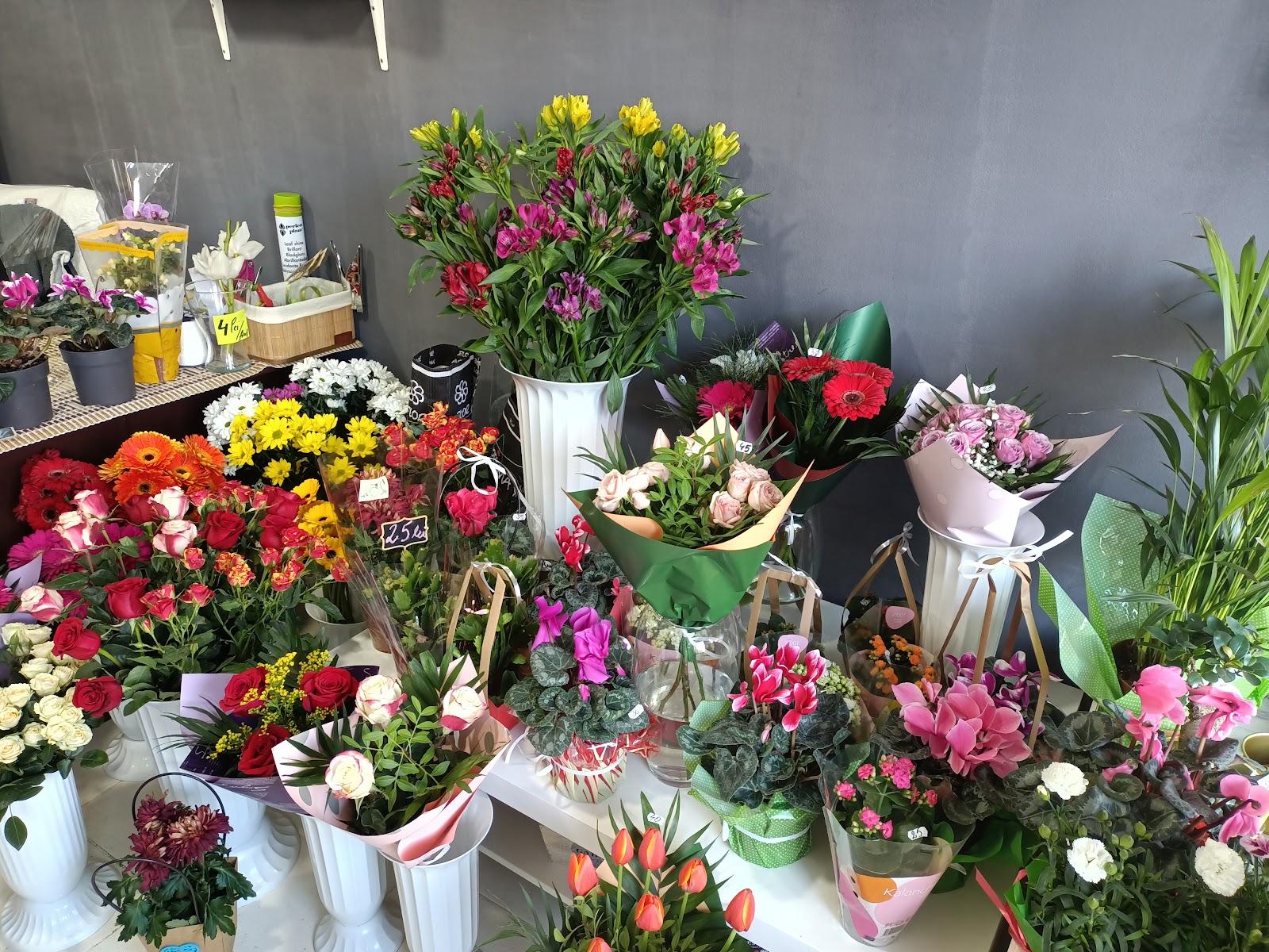 Eva Flowers