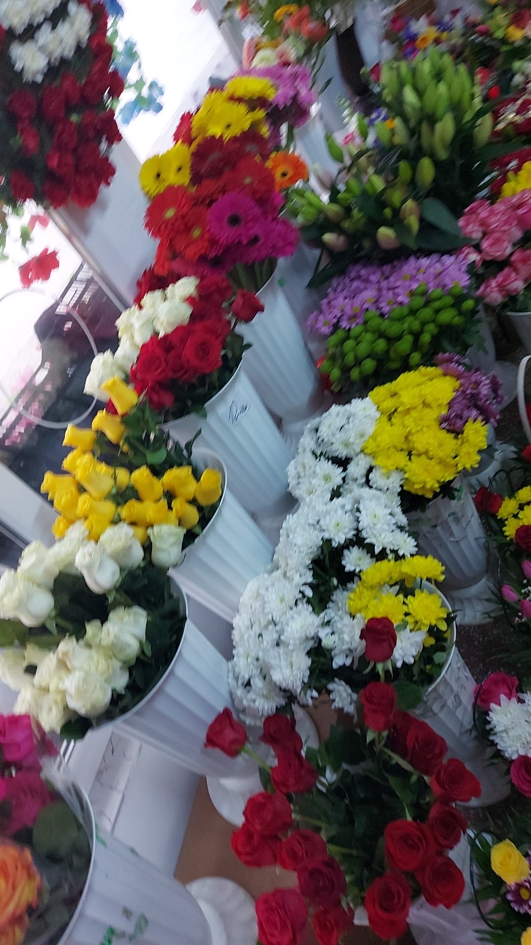 Florăria Liliana SRL