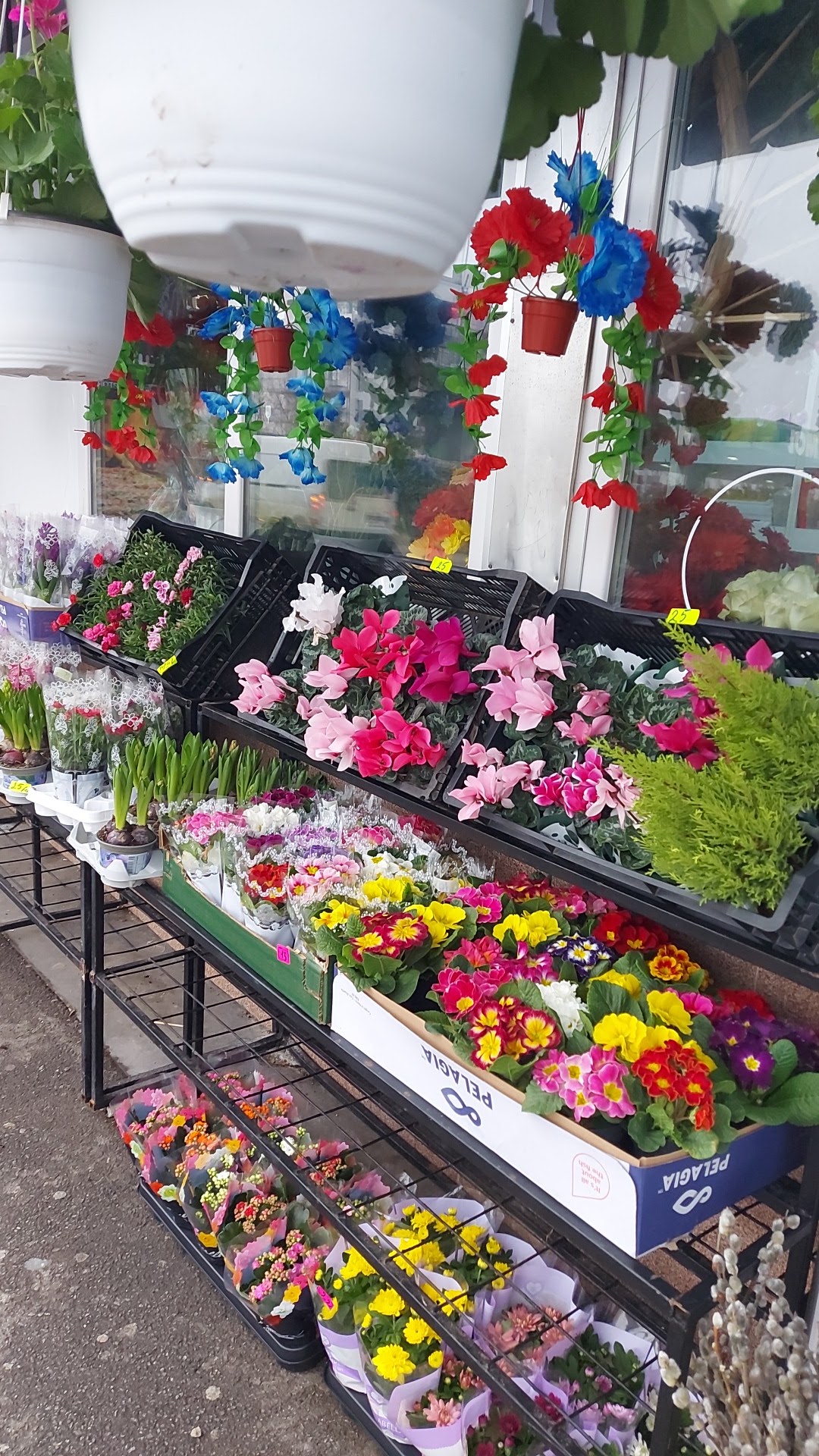 Florăria Liliana SRL