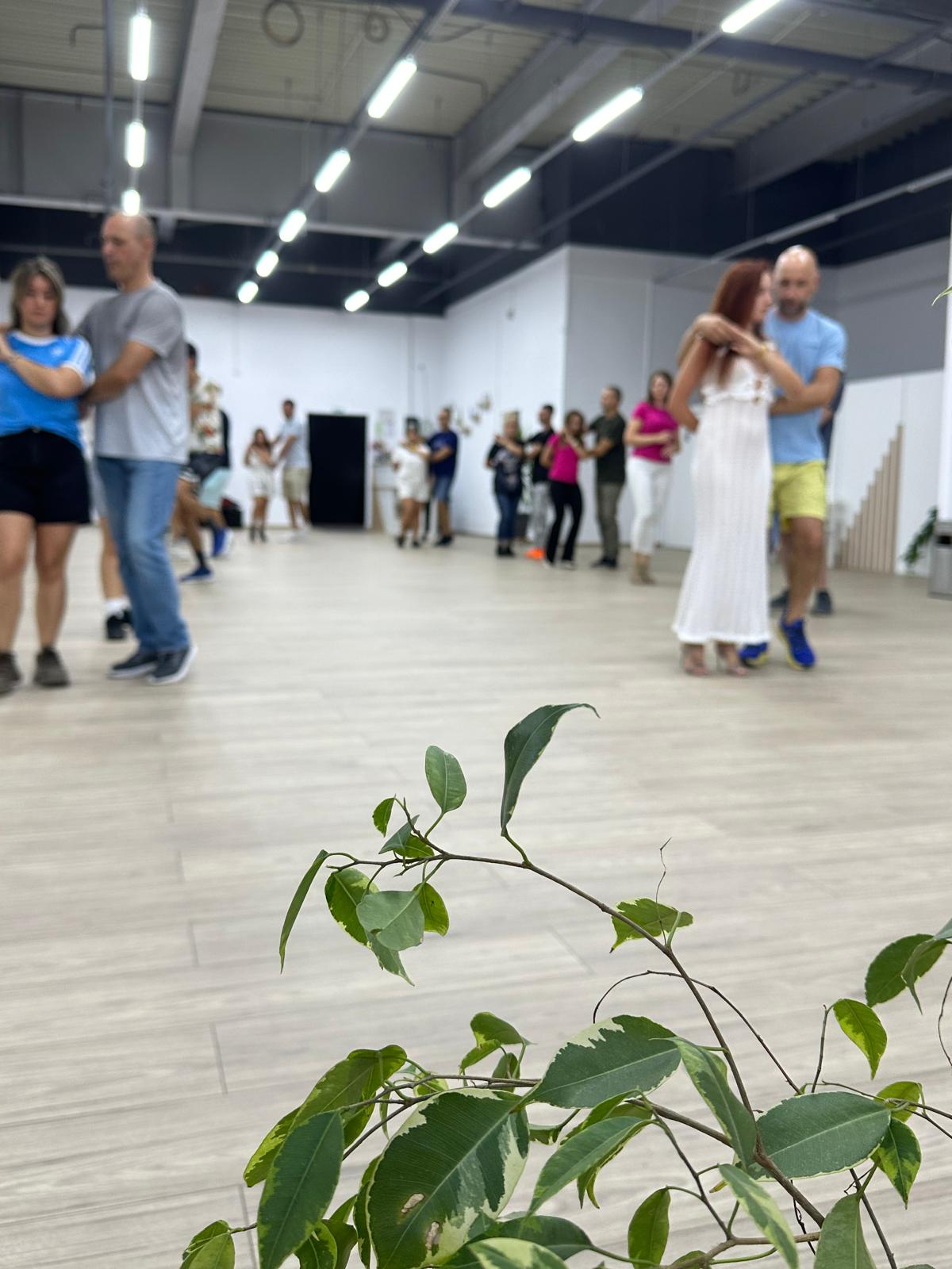 Dance Flow Academy