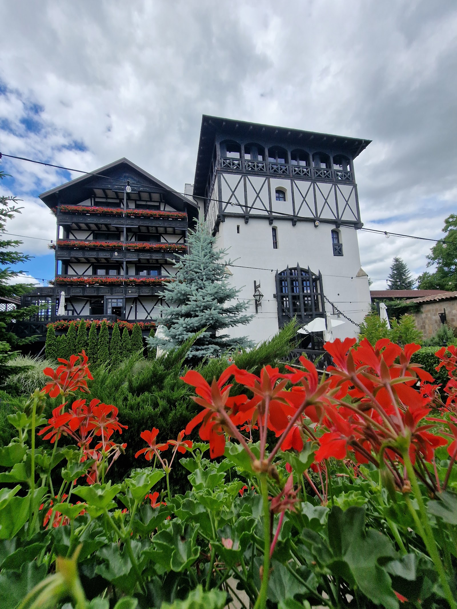 Podu' cu lanțuri- Hotel & Restaurant Bacau