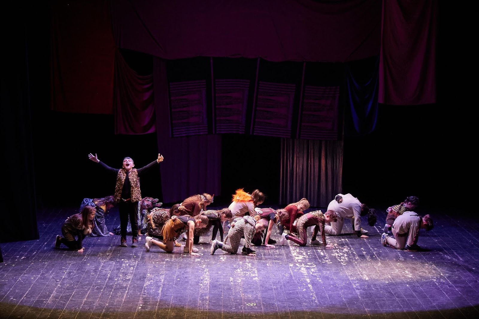MoonLight Dance Studio