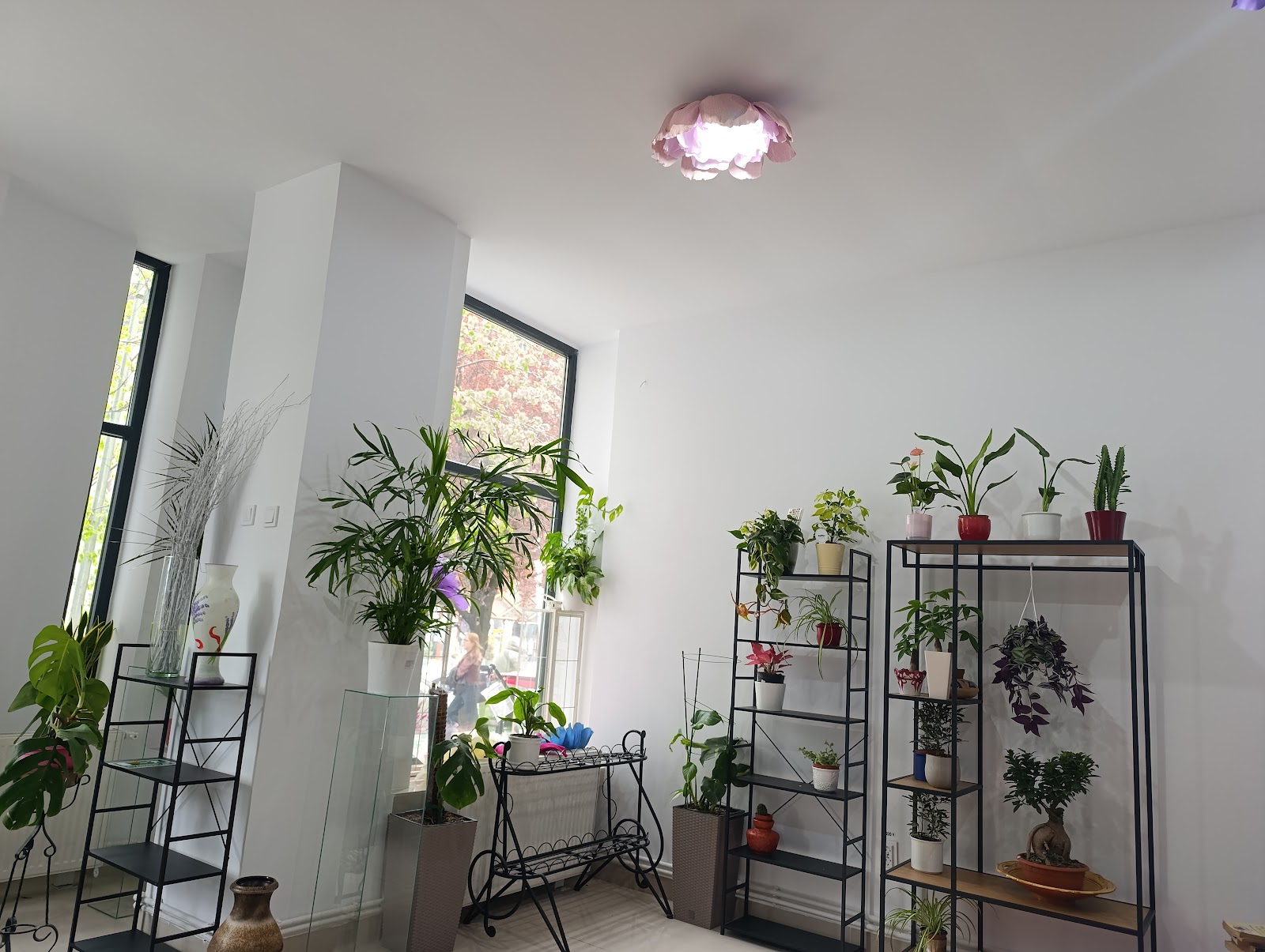 IFlori Atelier Bacau-florarie Bacau