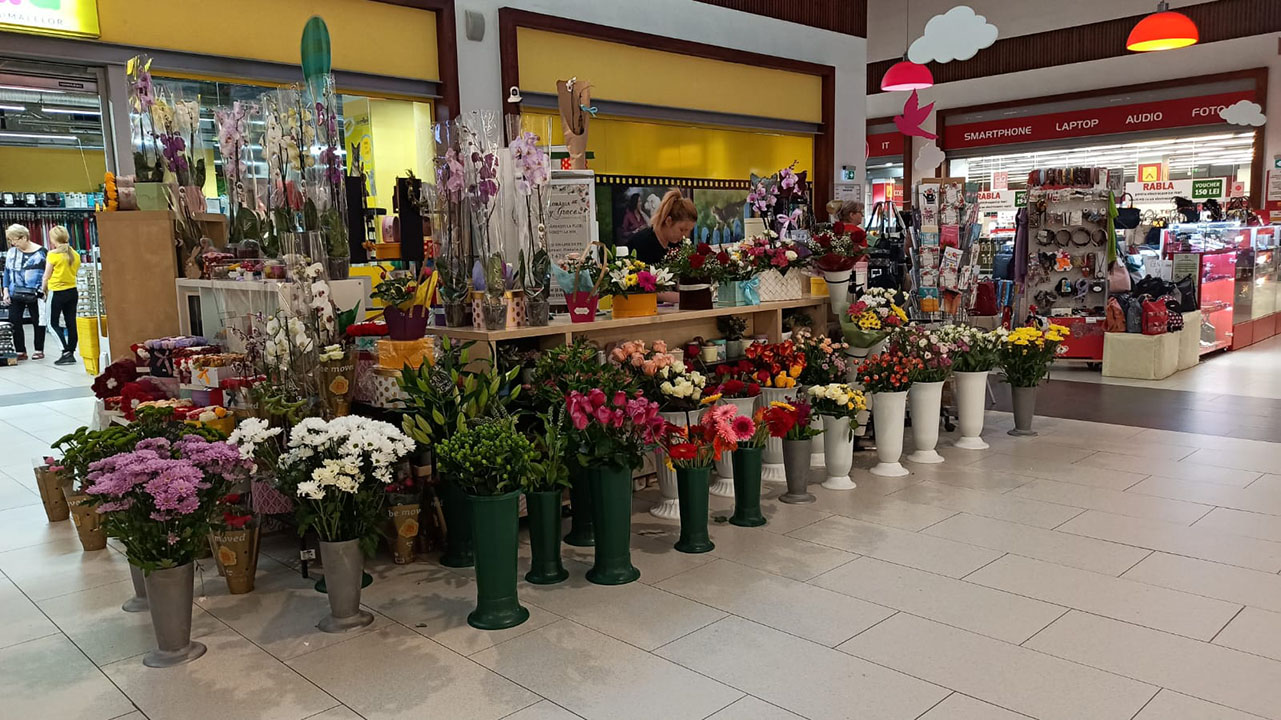 Expresii Florale
