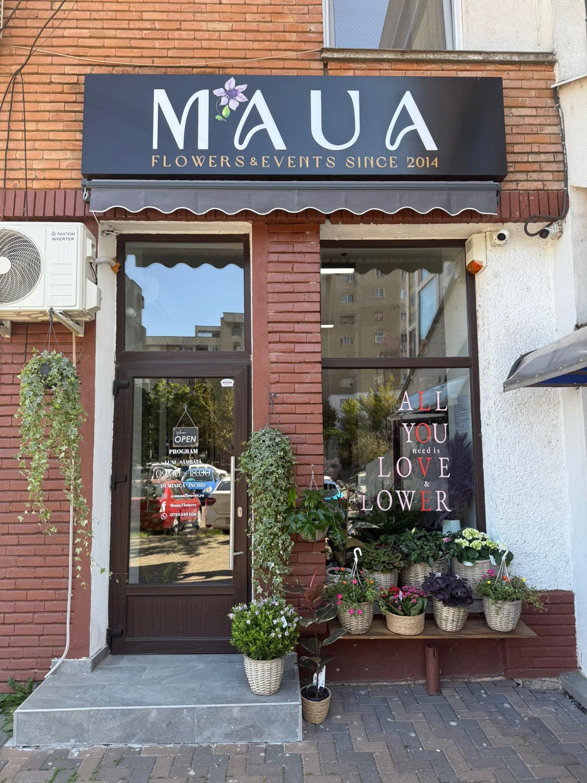 Maua Flowers