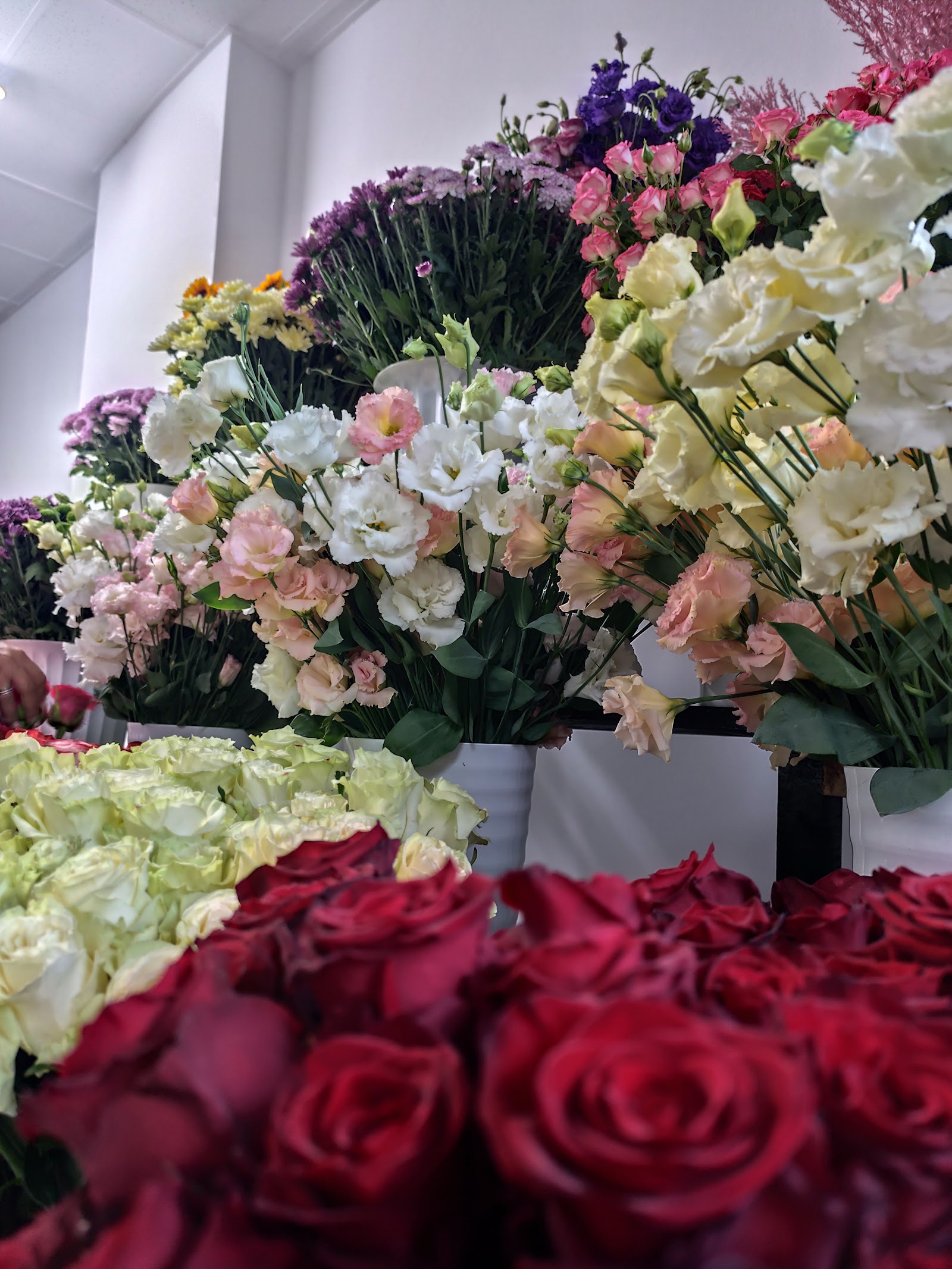 MAM'S FLOWERS