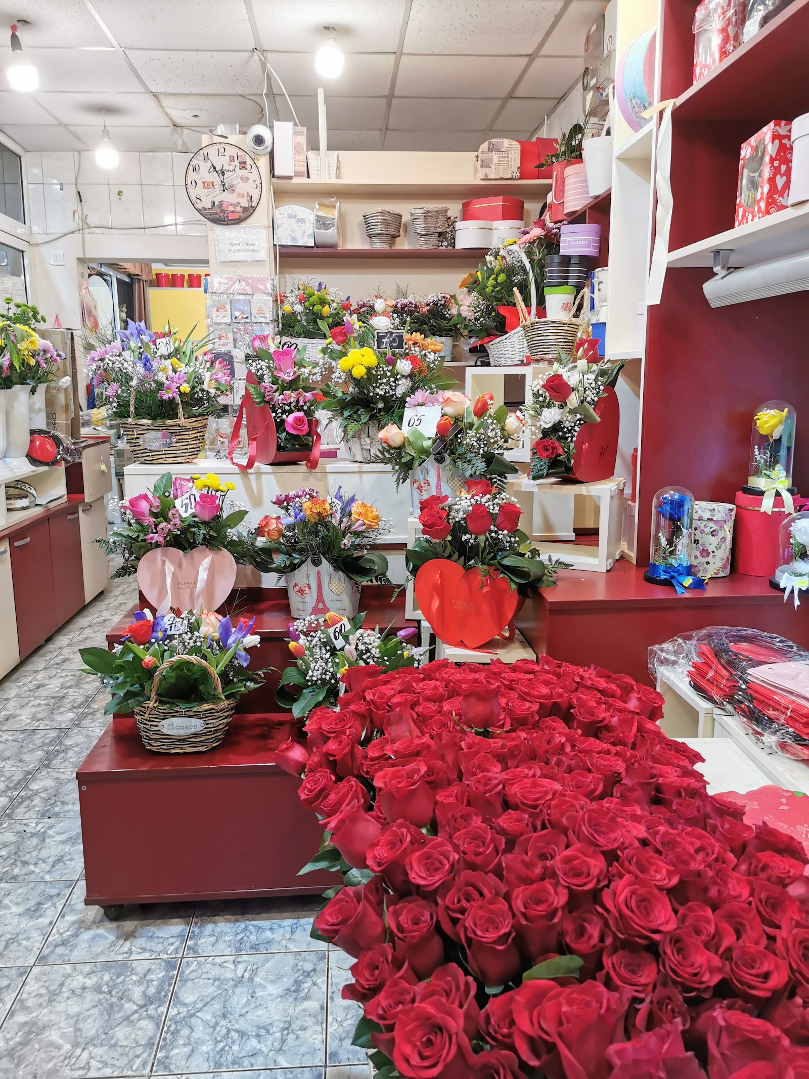 Floraria DaliaDor