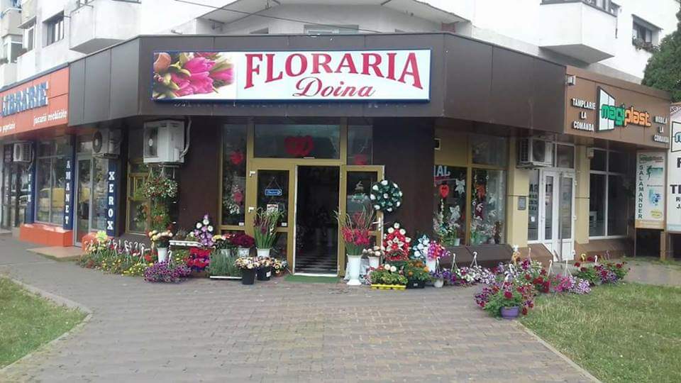 Florăria Doina