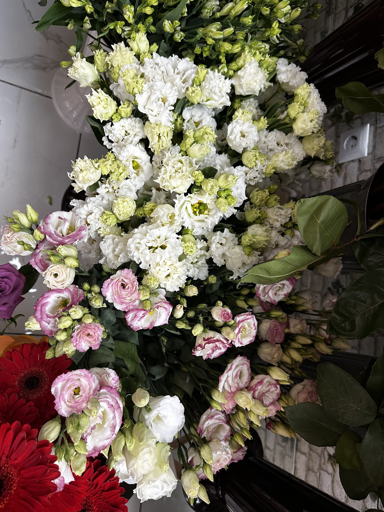 Florarie lyly