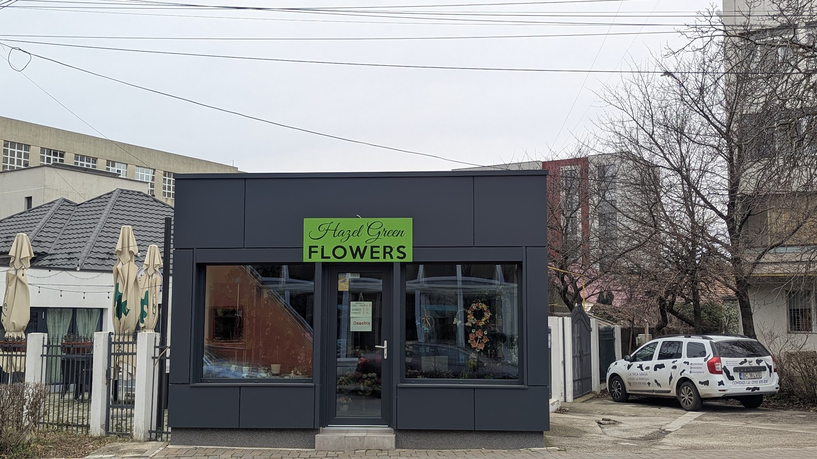 Hazel Green Flowers