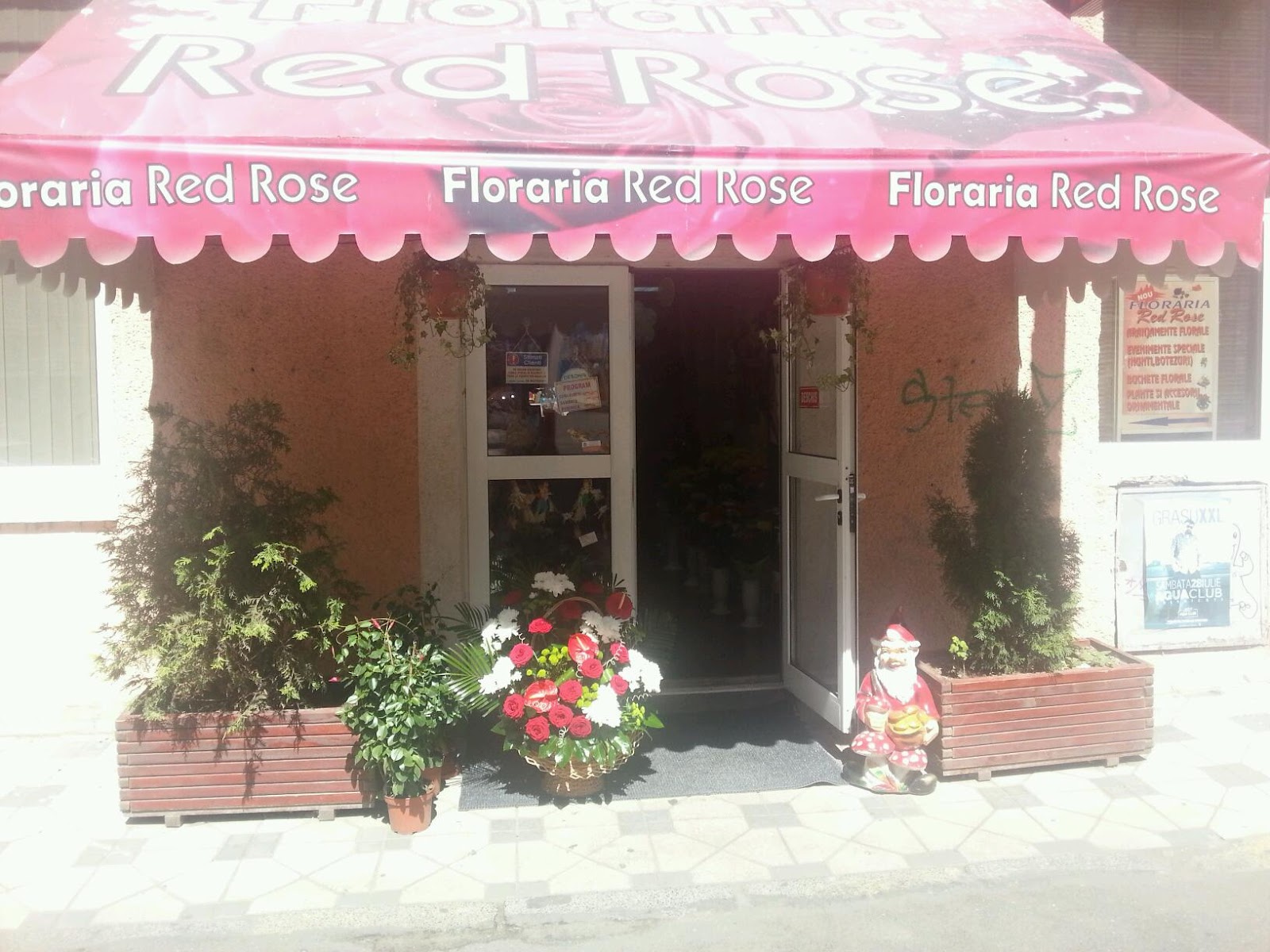 Red Rose