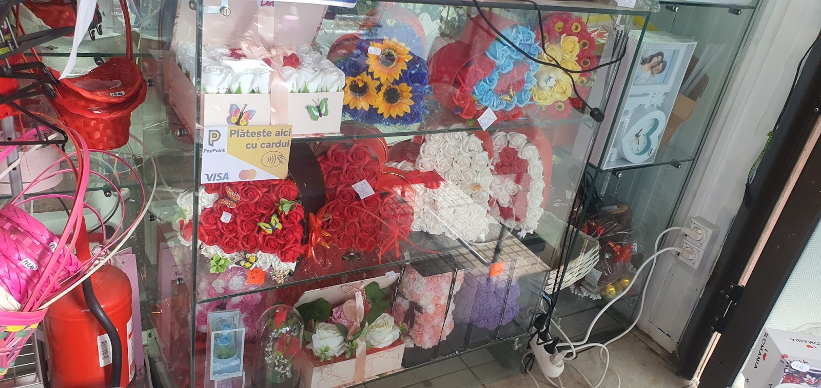 Surprize La Domiciliu Bacău