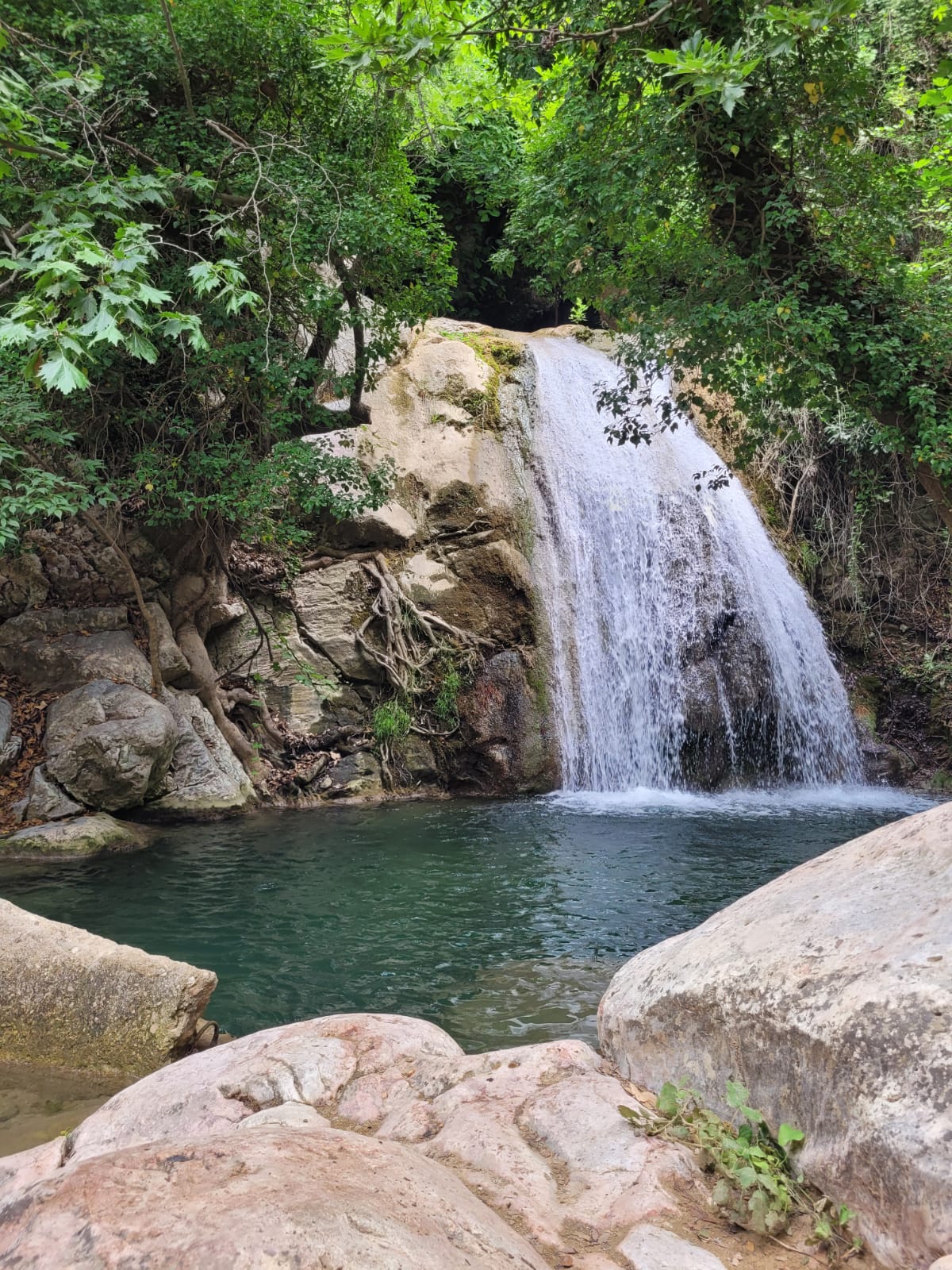 Seven Travel - Agenție de Turism Bacău 1