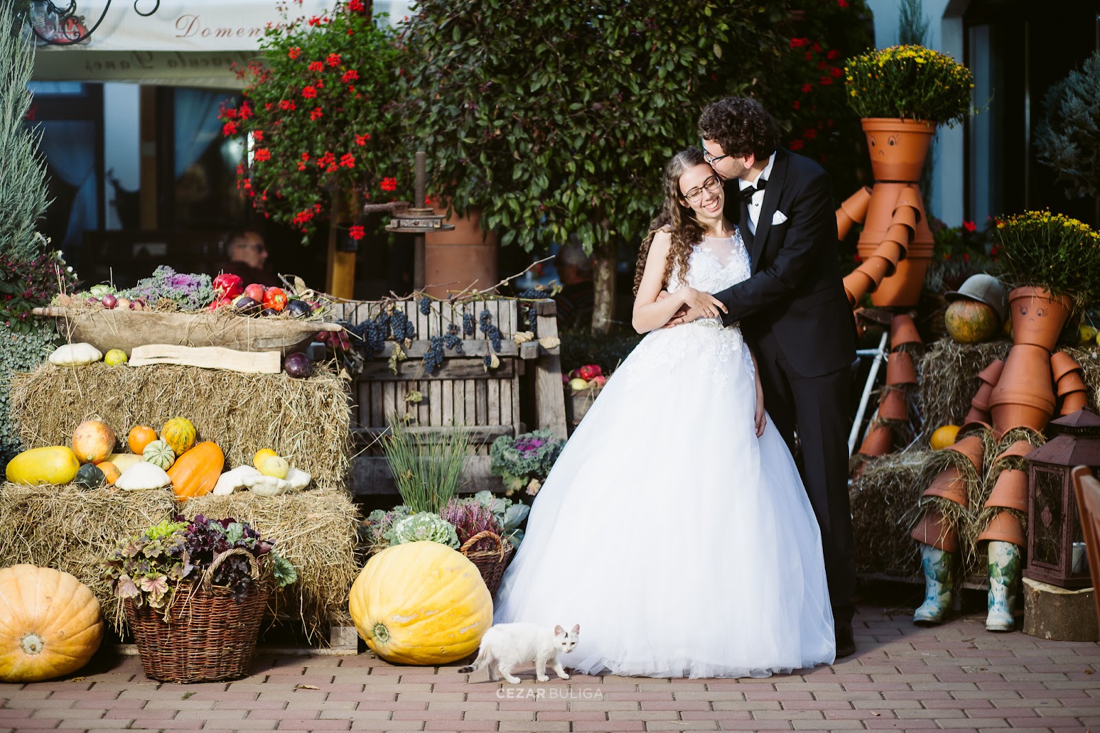 Cezar Buliga - Creative Wedding Photographer