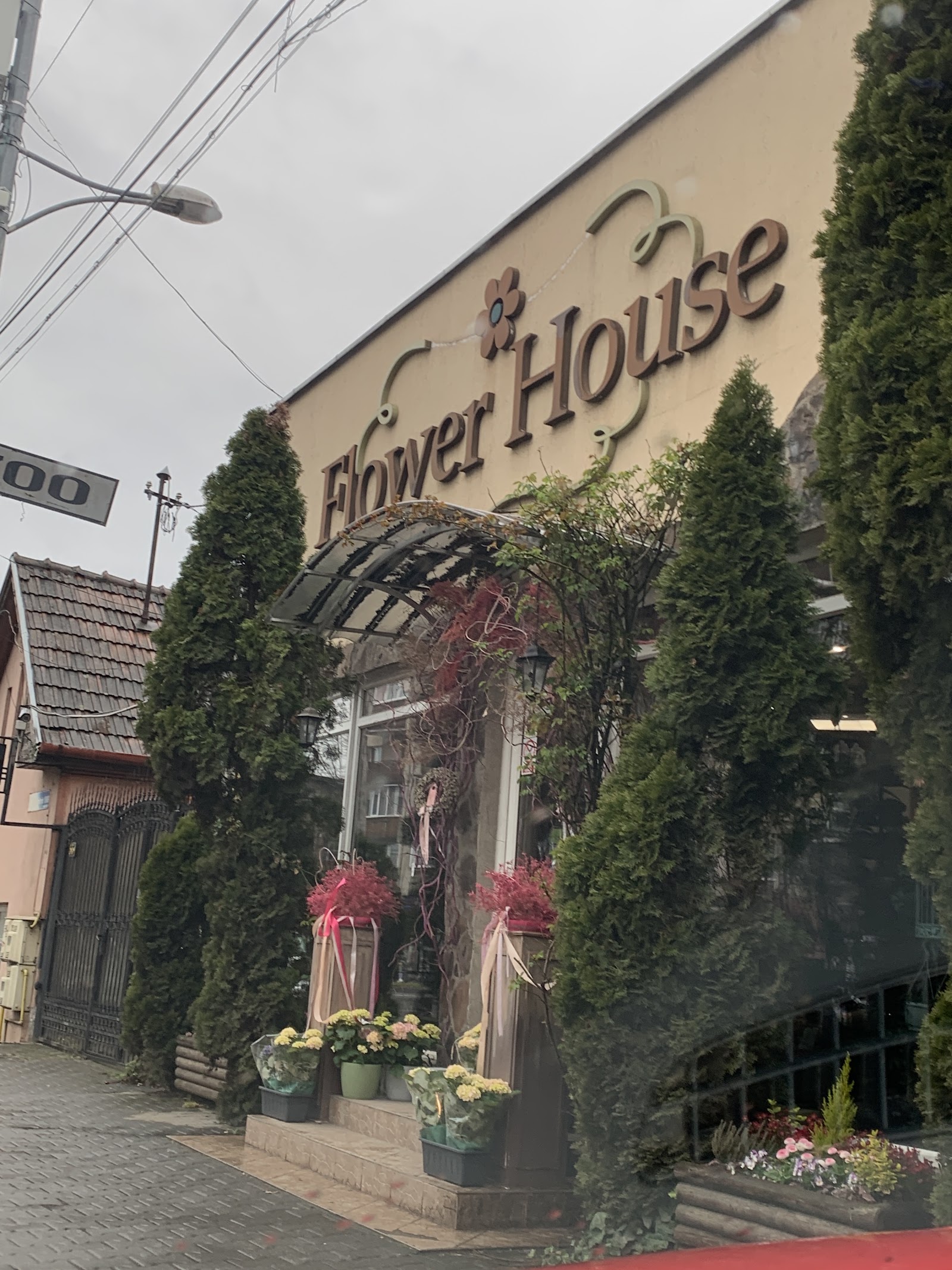 Flower House Mures